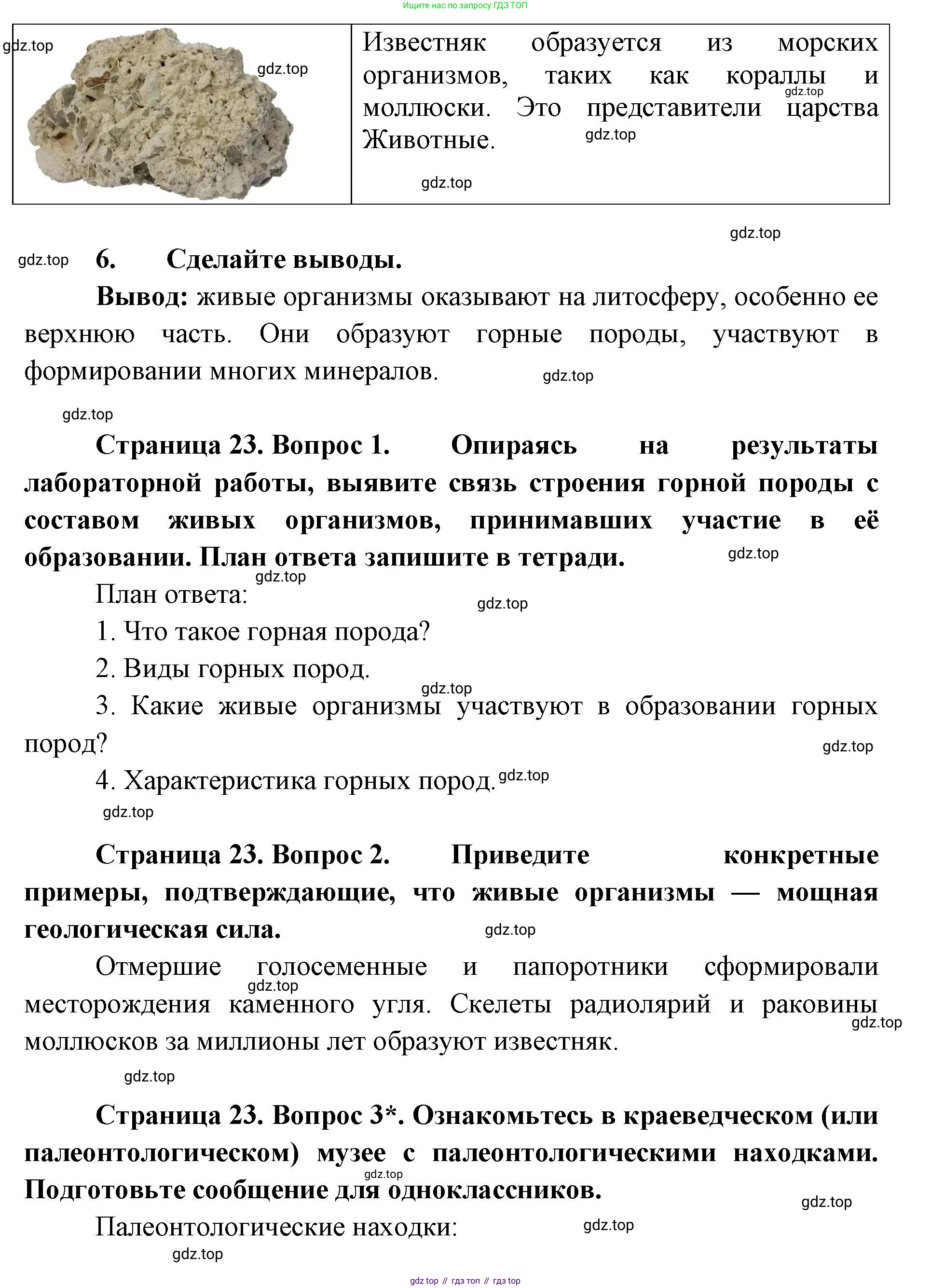 ГДЗ Биология, 9 класс Учебник, авторы: Сухова Тамара Сергеевна, Сарычева Наталия Юрьевна, Шаталова Светлана Петровна, Дмитриева Татьяна Андреевна, издательство Просвещение, Москва, 2021, страница 23, Решение (продолжение 2)