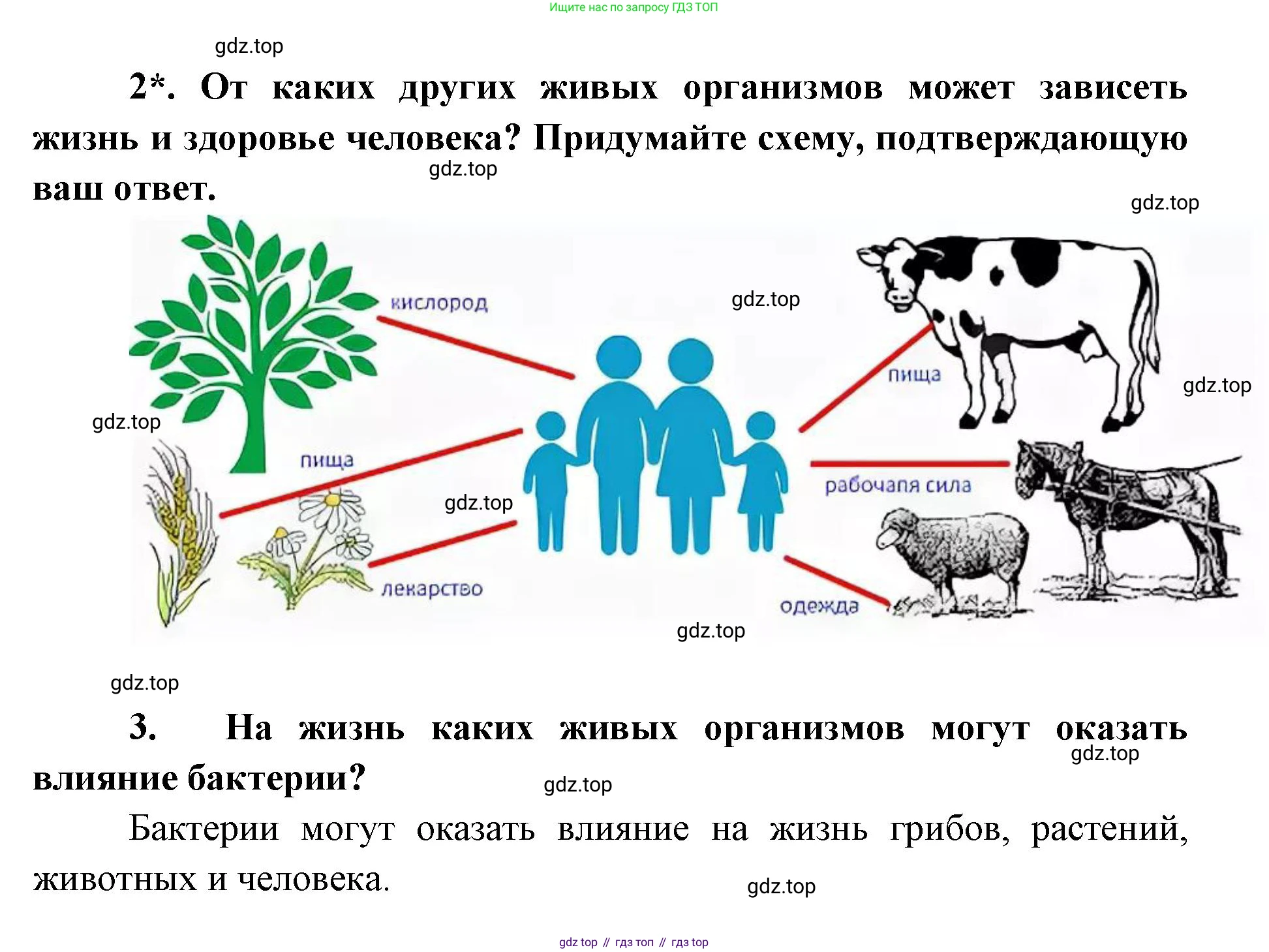 ГДЗ Биология, 9 класс Учебник, авторы: Сухова Тамара Сергеевна, Сарычева Наталия Юрьевна, Шаталова Светлана Петровна, Дмитриева Татьяна Андреевна, издательство Просвещение, Москва, 2021, страница 64, Решение (продолжение 3)
