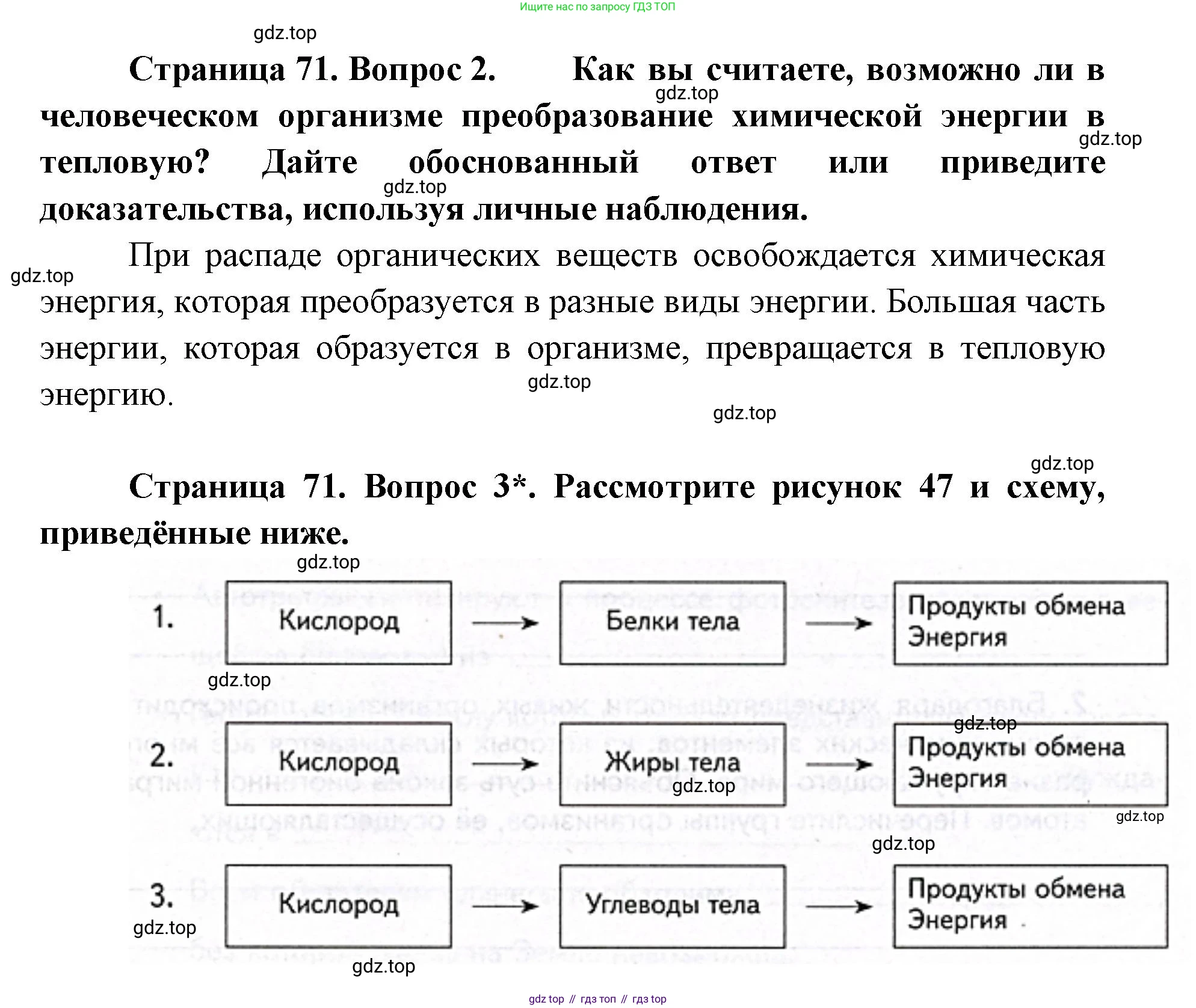 ГДЗ Биология, 9 класс Учебник, авторы: Сухова Тамара Сергеевна, Сарычева Наталия Юрьевна, Шаталова Светлана Петровна, Дмитриева Татьяна Андреевна, издательство Просвещение, Москва, 2021, страница 71, Решение