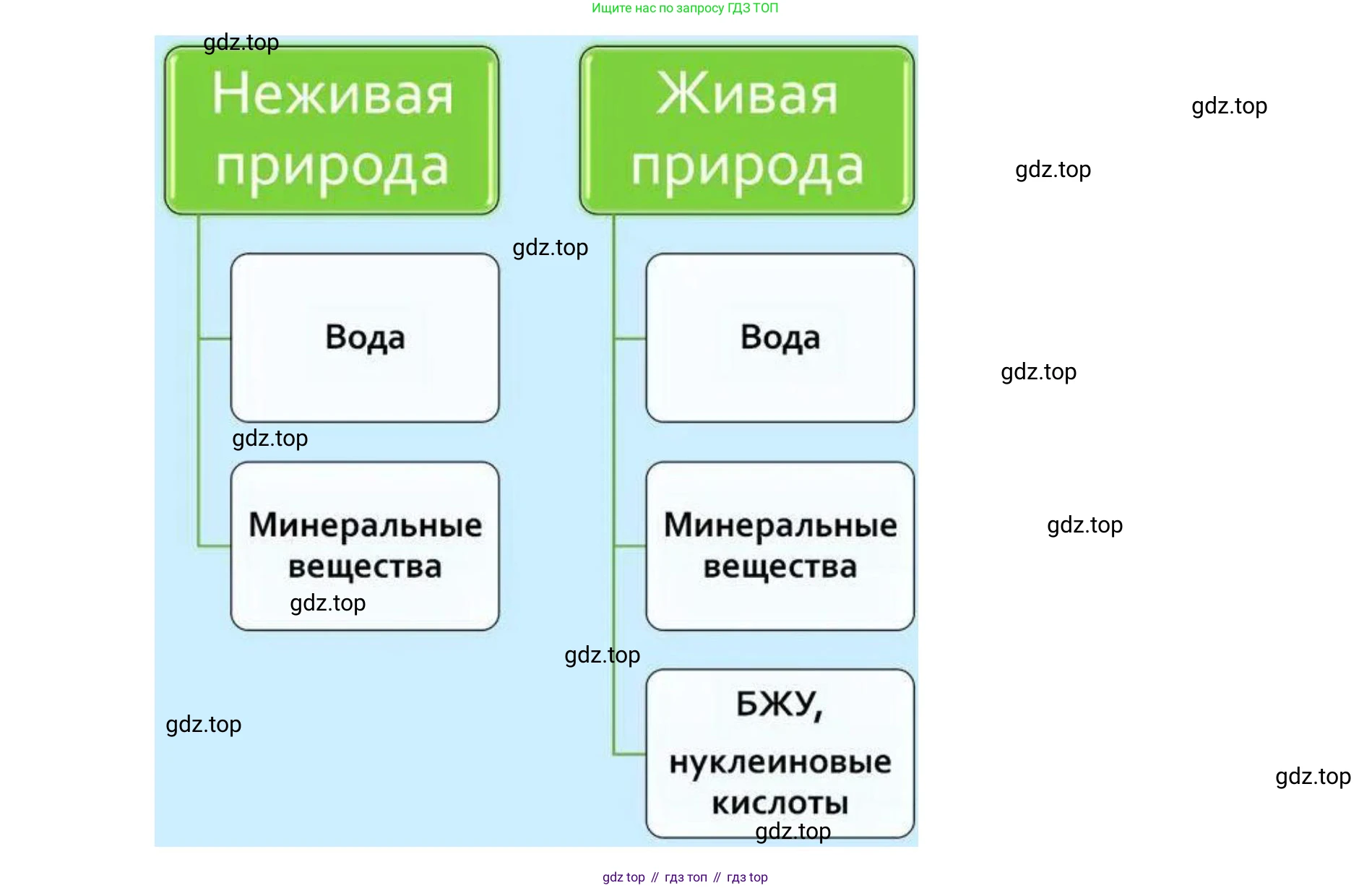 ГДЗ Биология, 9 класс Учебник, авторы: Сухова Тамара Сергеевна, Сарычева Наталия Юрьевна, Шаталова Светлана Петровна, Дмитриева Татьяна Андреевна, издательство Просвещение, Москва, 2021, страница 72, Решение (продолжение 4)