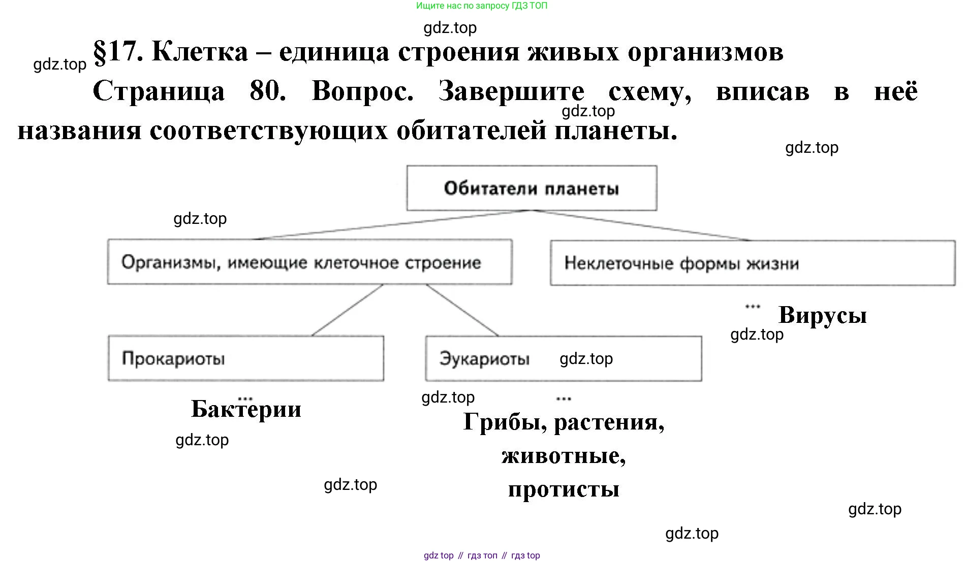 ГДЗ Биология, 9 класс Учебник, авторы: Сухова Тамара Сергеевна, Сарычева Наталия Юрьевна, Шаталова Светлана Петровна, Дмитриева Татьяна Андреевна, издательство Просвещение, Москва, 2021, страница 80, Решение