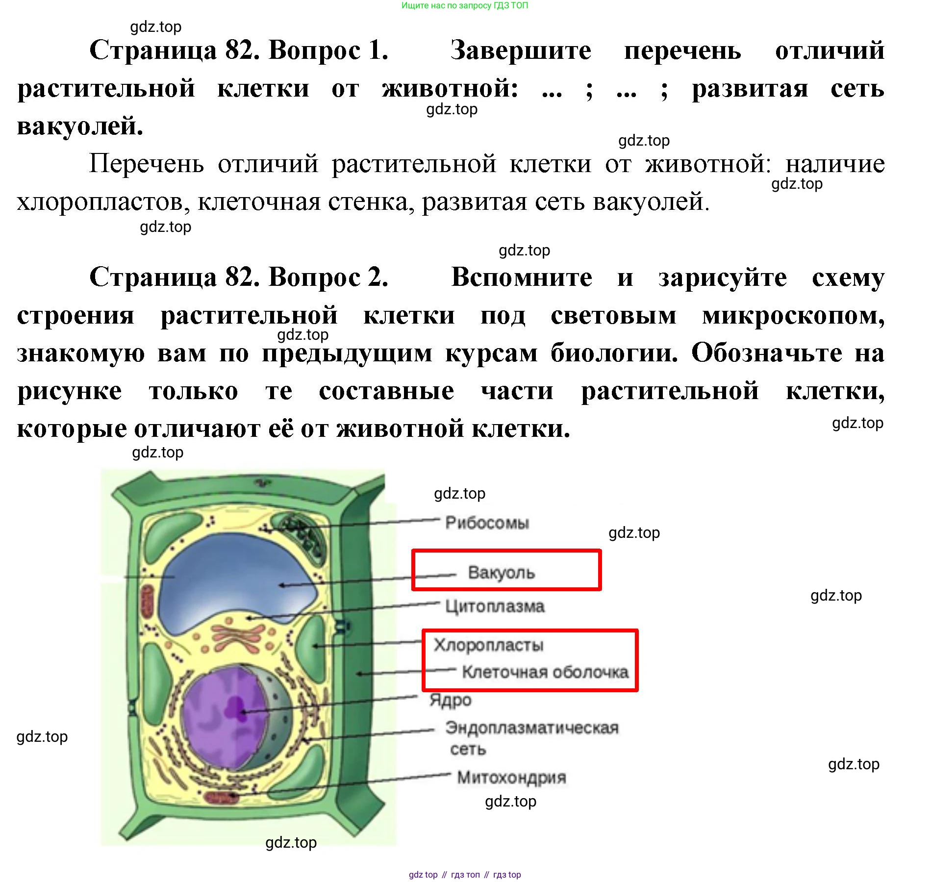 ГДЗ Биология, 9 класс Учебник, авторы: Сухова Тамара Сергеевна, Сарычева Наталия Юрьевна, Шаталова Светлана Петровна, Дмитриева Татьяна Андреевна, издательство Просвещение, Москва, 2021, страница 82, Решение