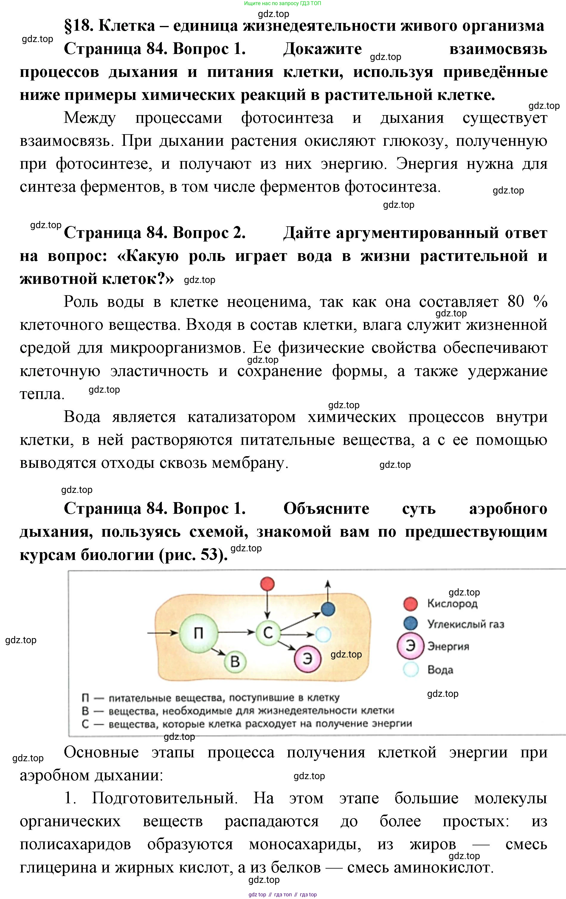 ГДЗ Биология, 9 класс Учебник, авторы: Сухова Тамара Сергеевна, Сарычева Наталия Юрьевна, Шаталова Светлана Петровна, Дмитриева Татьяна Андреевна, издательство Просвещение, Москва, 2021, страница 84, Решение