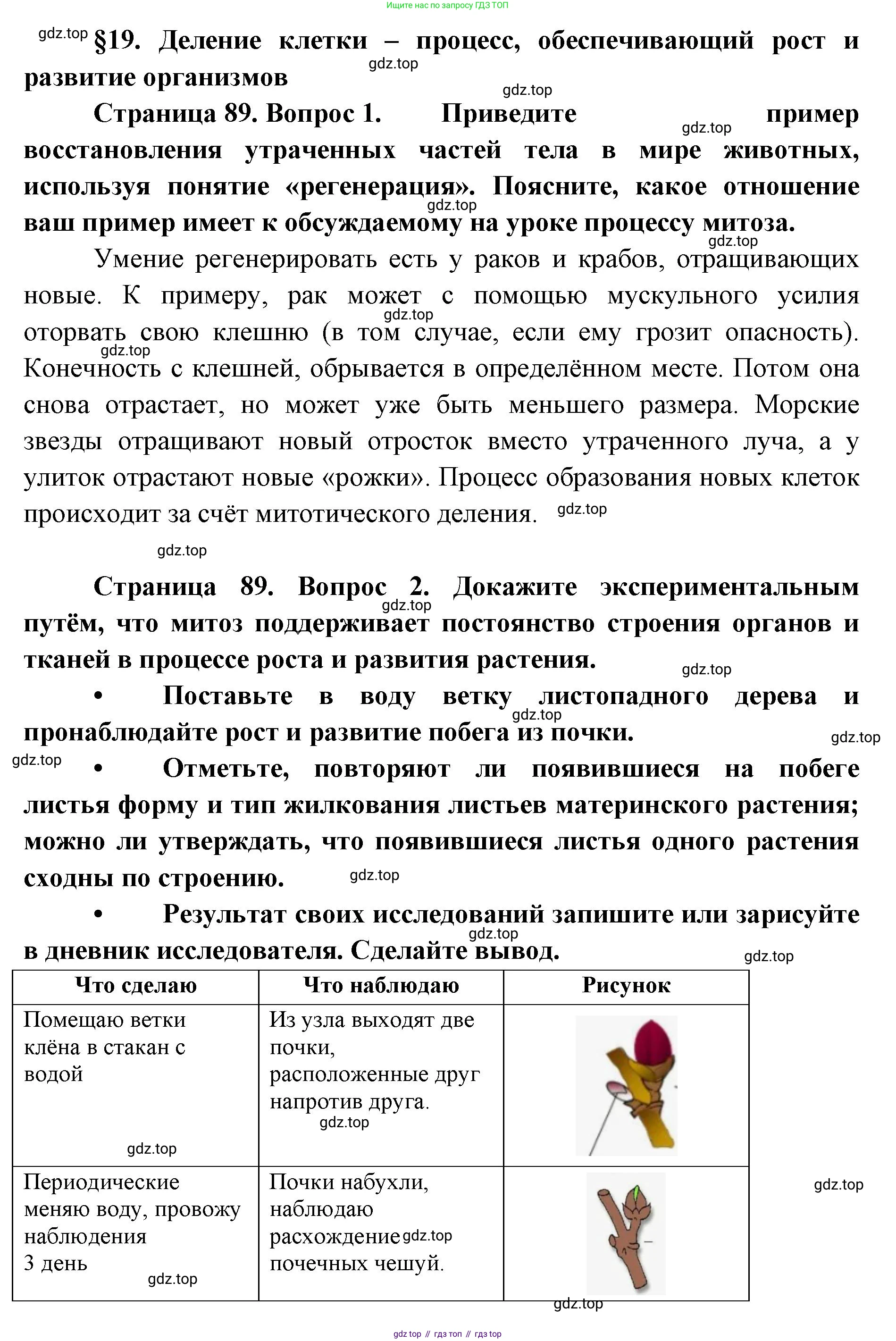 ГДЗ Биология, 9 класс Учебник, авторы: Сухова Тамара Сергеевна, Сарычева Наталия Юрьевна, Шаталова Светлана Петровна, Дмитриева Татьяна Андреевна, издательство Просвещение, Москва, 2021, страница 89, Решение