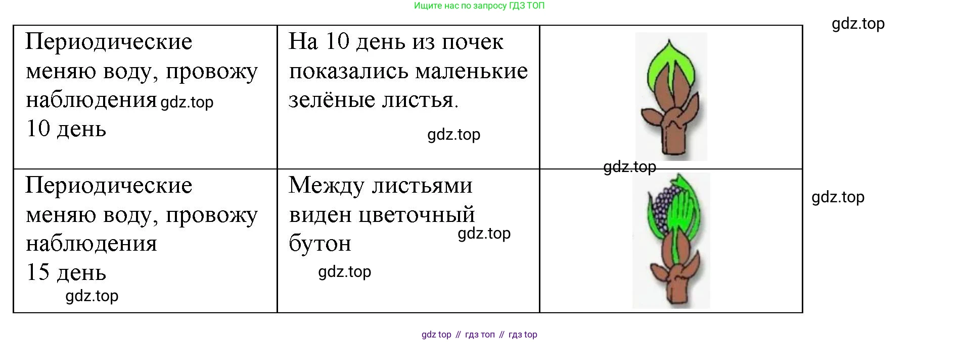 ГДЗ Биология, 9 класс Учебник, авторы: Сухова Тамара Сергеевна, Сарычева Наталия Юрьевна, Шаталова Светлана Петровна, Дмитриева Татьяна Андреевна, издательство Просвещение, Москва, 2021, страница 89, Решение (продолжение 2)