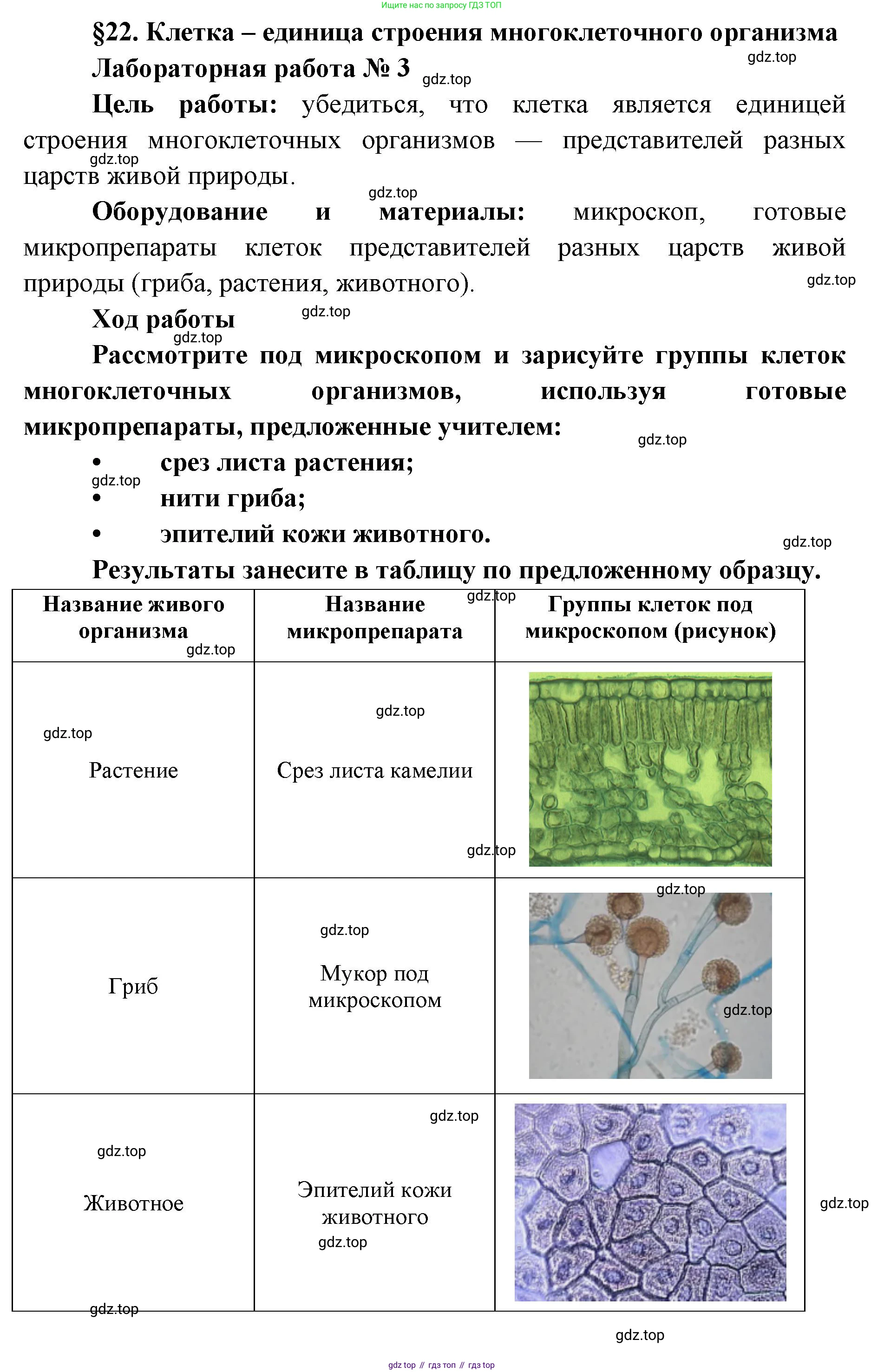 ГДЗ Биология, 9 класс Учебник, авторы: Сухова Тамара Сергеевна, Сарычева Наталия Юрьевна, Шаталова Светлана Петровна, Дмитриева Татьяна Андреевна, издательство Просвещение, Москва, 2021, страница 96, Решение