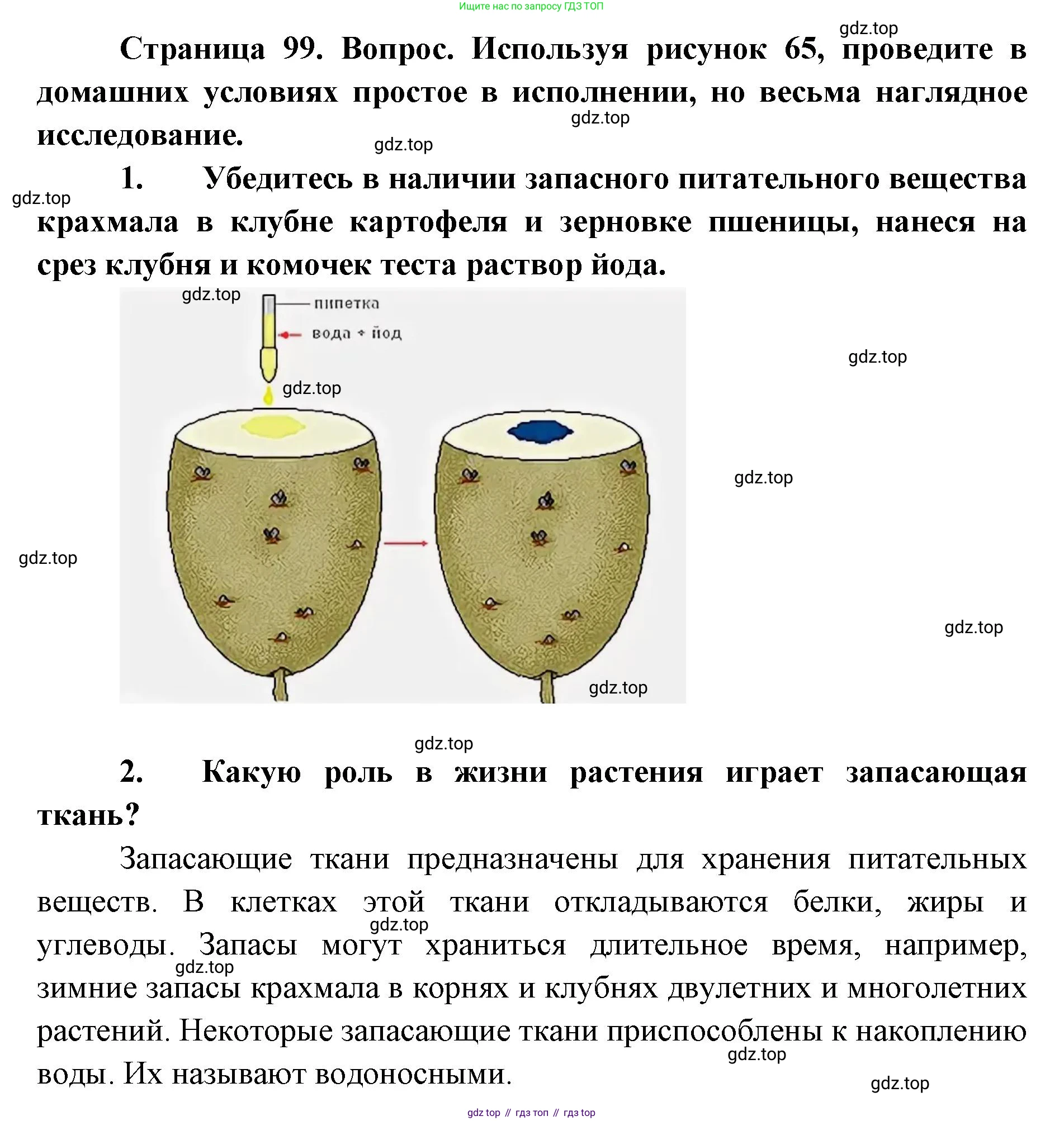 ГДЗ Биология, 9 класс Учебник, авторы: Сухова Тамара Сергеевна, Сарычева Наталия Юрьевна, Шаталова Светлана Петровна, Дмитриева Татьяна Андреевна, издательство Просвещение, Москва, 2021, страница 99, Решение