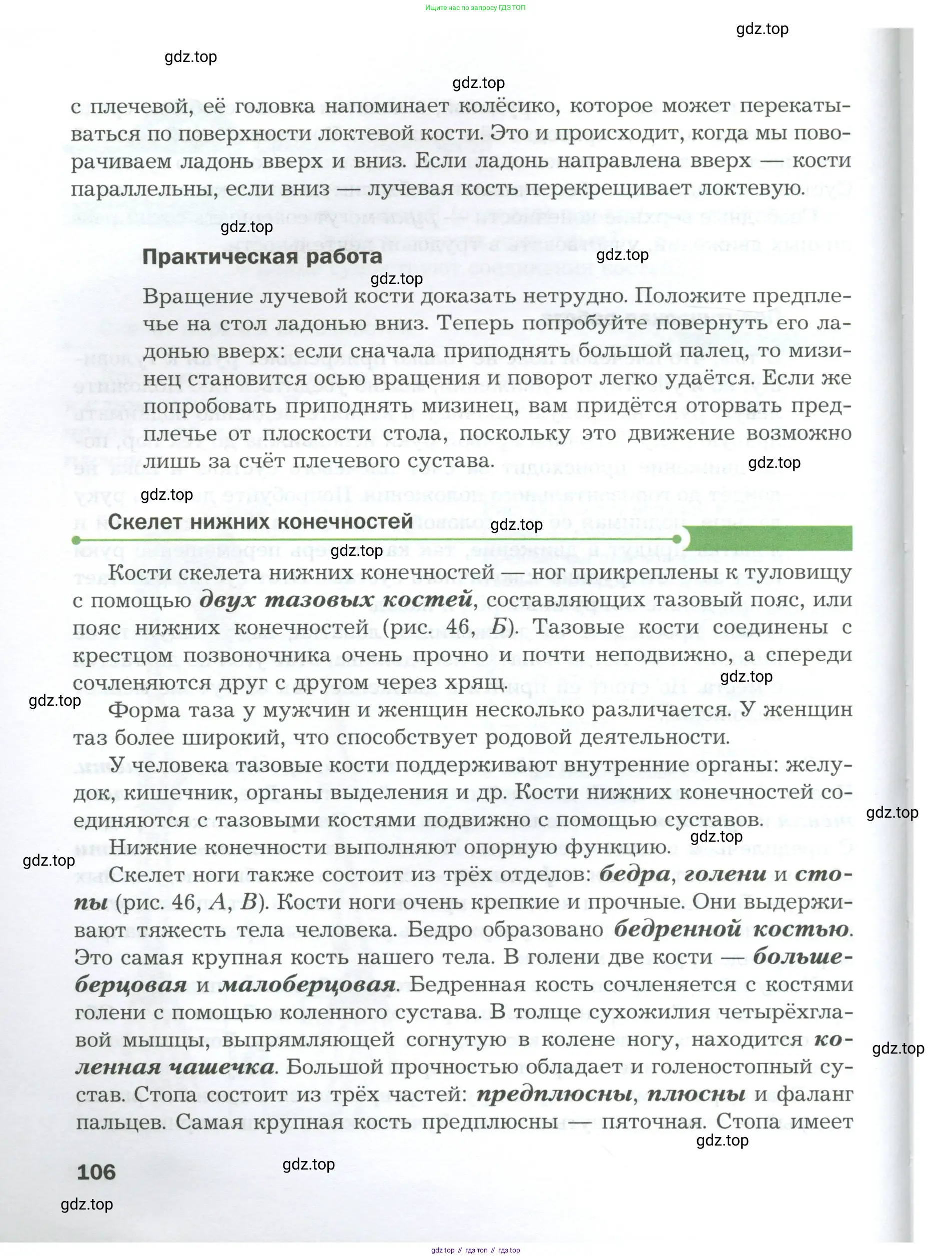 Биология, 9 класс Учебник, авторы: Драгомилов Александр Григорьевич, Маш Реми Давидович, издательство Просвещение, Москва, 2021, коричневого цвета, страница 106
