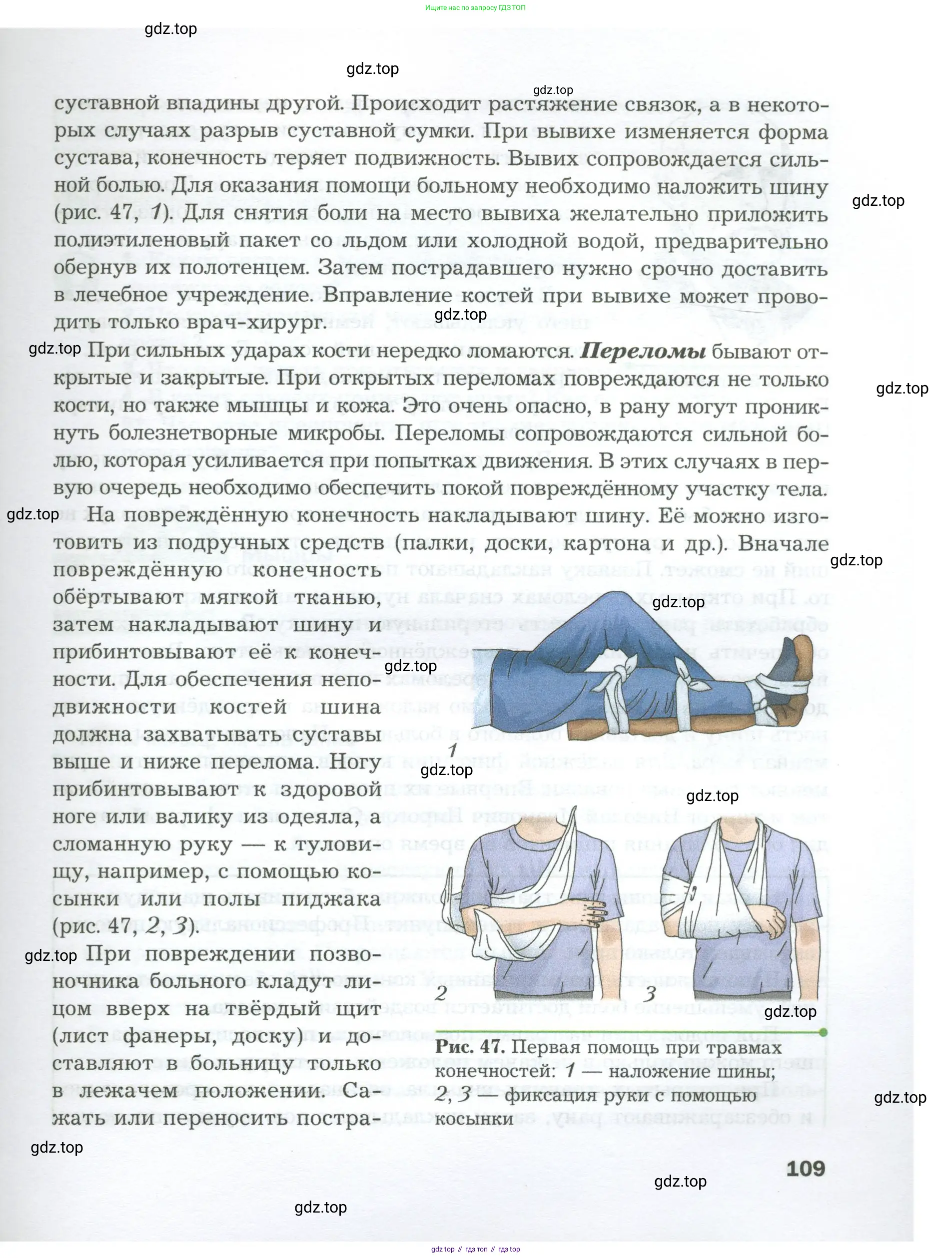 Биология, 9 класс Учебник, авторы: Драгомилов Александр Григорьевич, Маш Реми Давидович, издательство Просвещение, Москва, 2021, коричневого цвета, страница 109