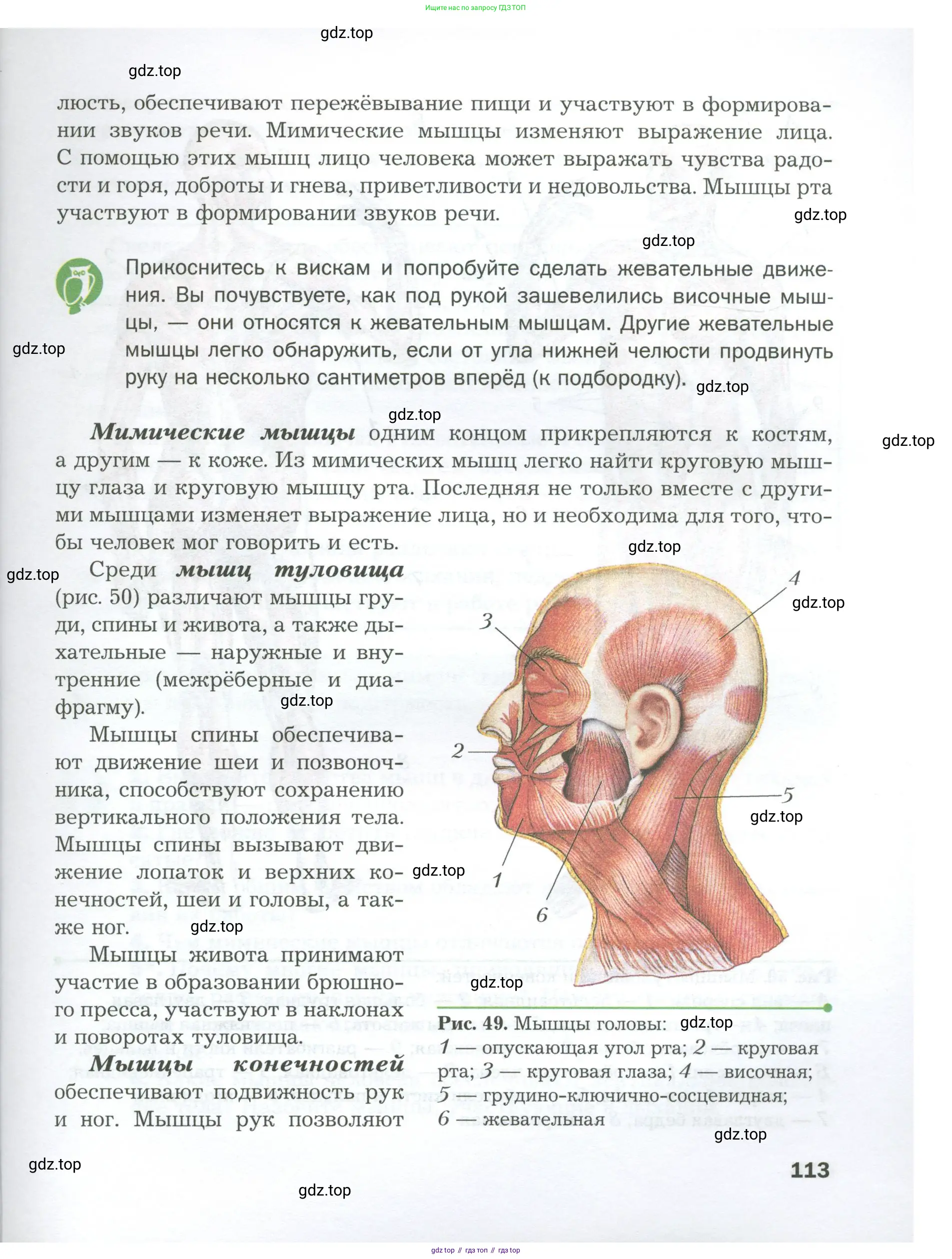 Биология, 9 класс Учебник, авторы: Драгомилов Александр Григорьевич, Маш Реми Давидович, издательство Просвещение, Москва, 2021, коричневого цвета, страница 113