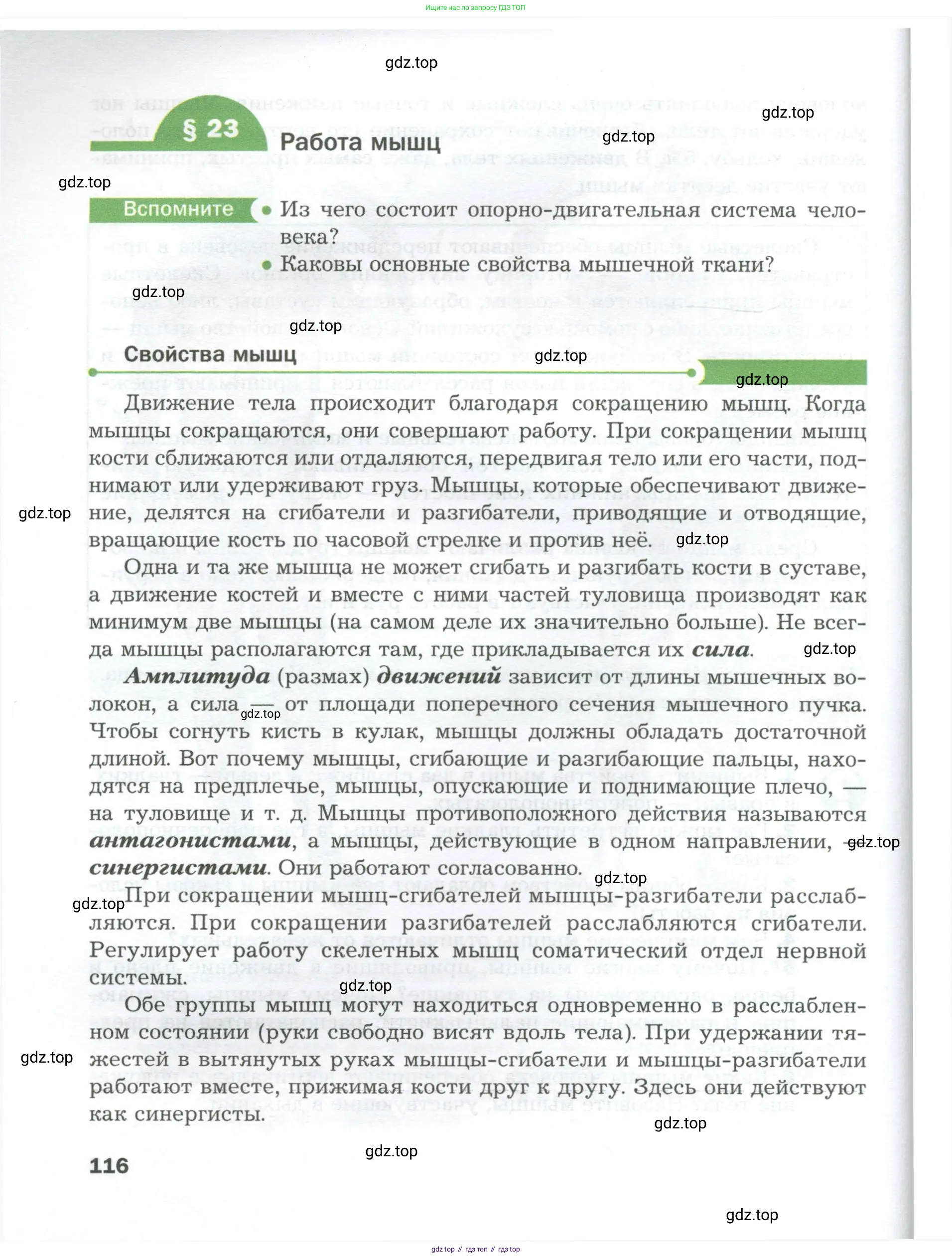 Биология, 9 класс Учебник, авторы: Драгомилов Александр Григорьевич, Маш Реми Давидович, издательство Просвещение, Москва, 2021, коричневого цвета, страница 116
