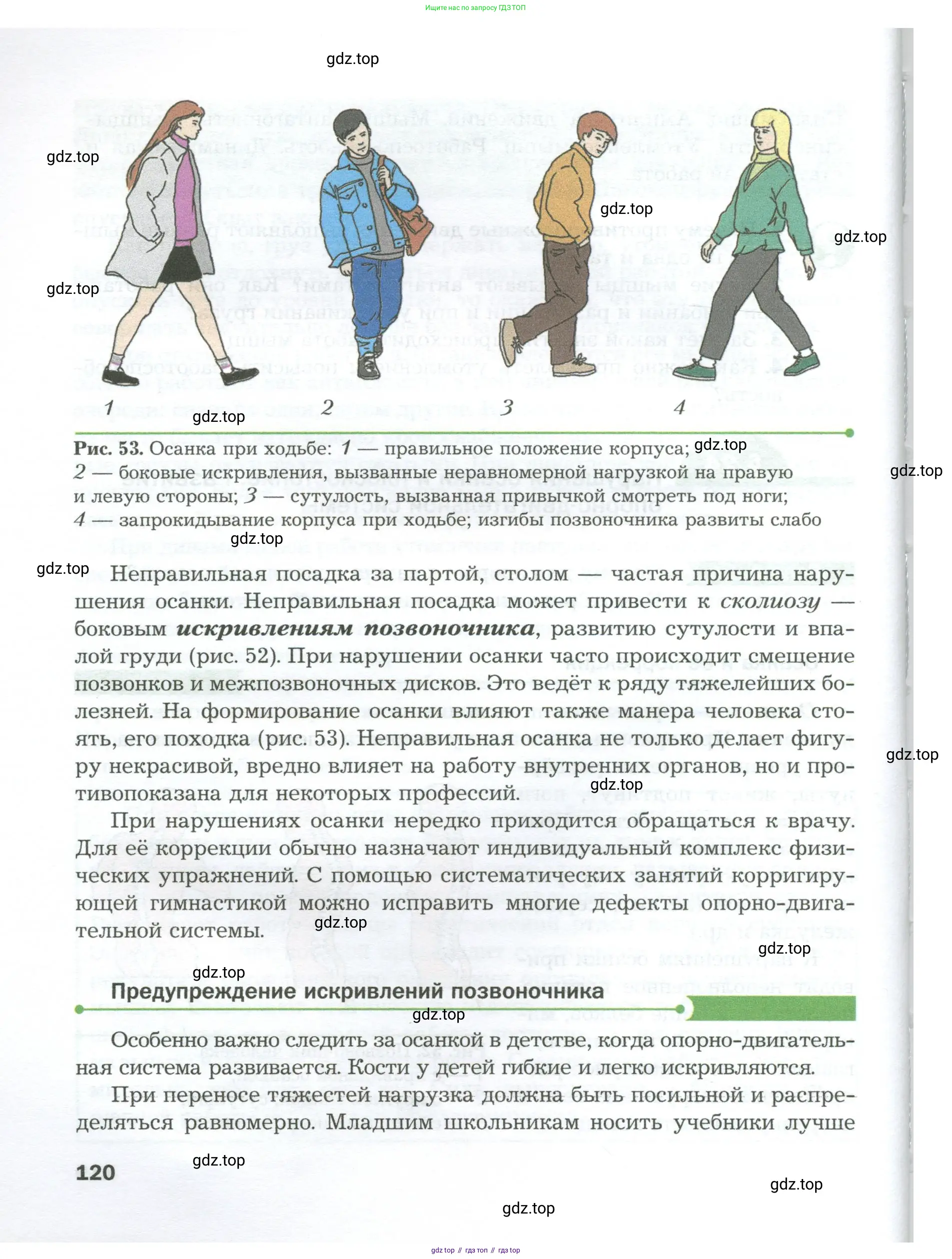 Биология, 9 класс Учебник, авторы: Драгомилов Александр Григорьевич, Маш Реми Давидович, издательство Просвещение, Москва, 2021, коричневого цвета, страница 120