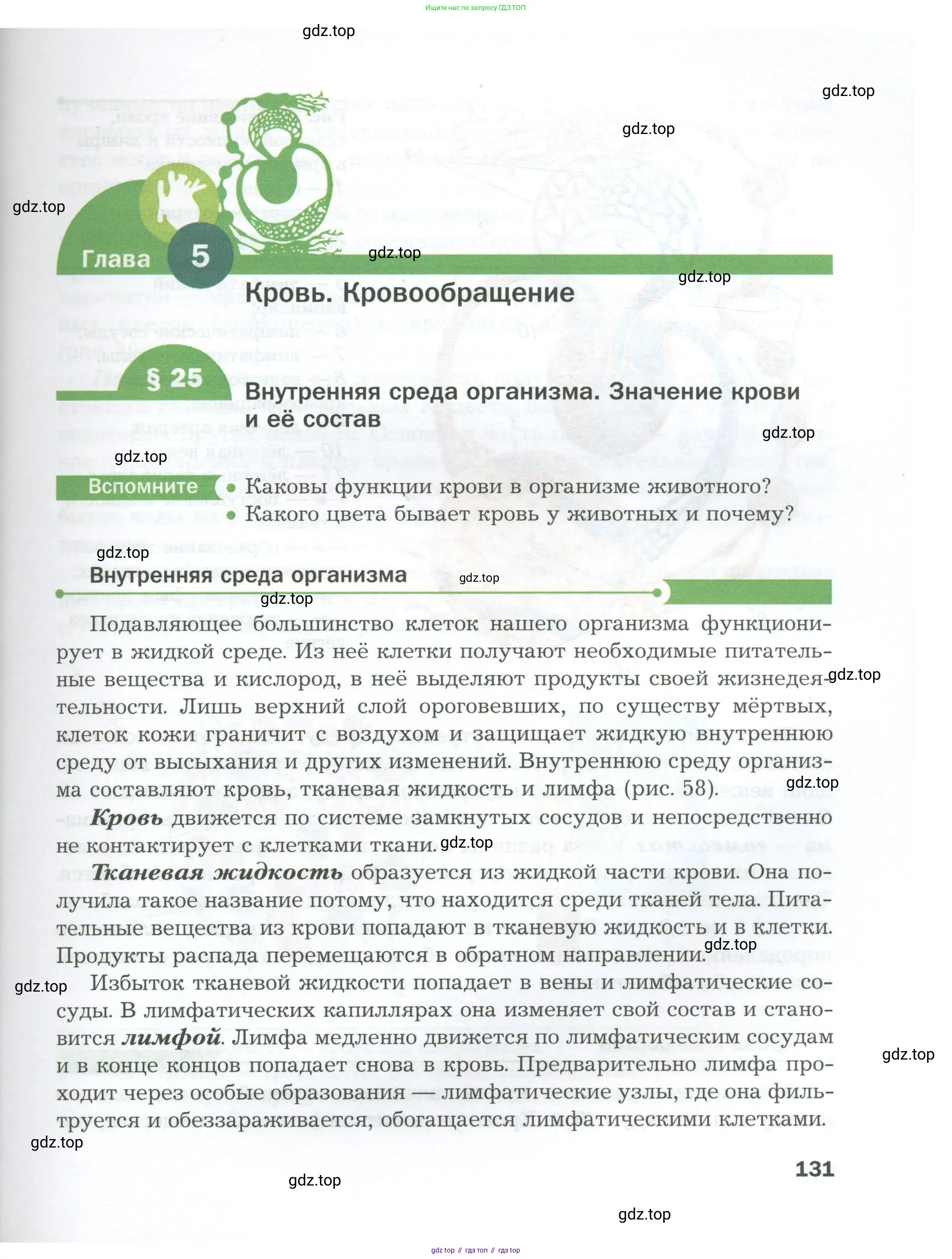 Биология, 9 класс Учебник, авторы: Драгомилов Александр Григорьевич, Маш Реми Давидович, издательство Просвещение, Москва, 2021, коричневого цвета, страница 131