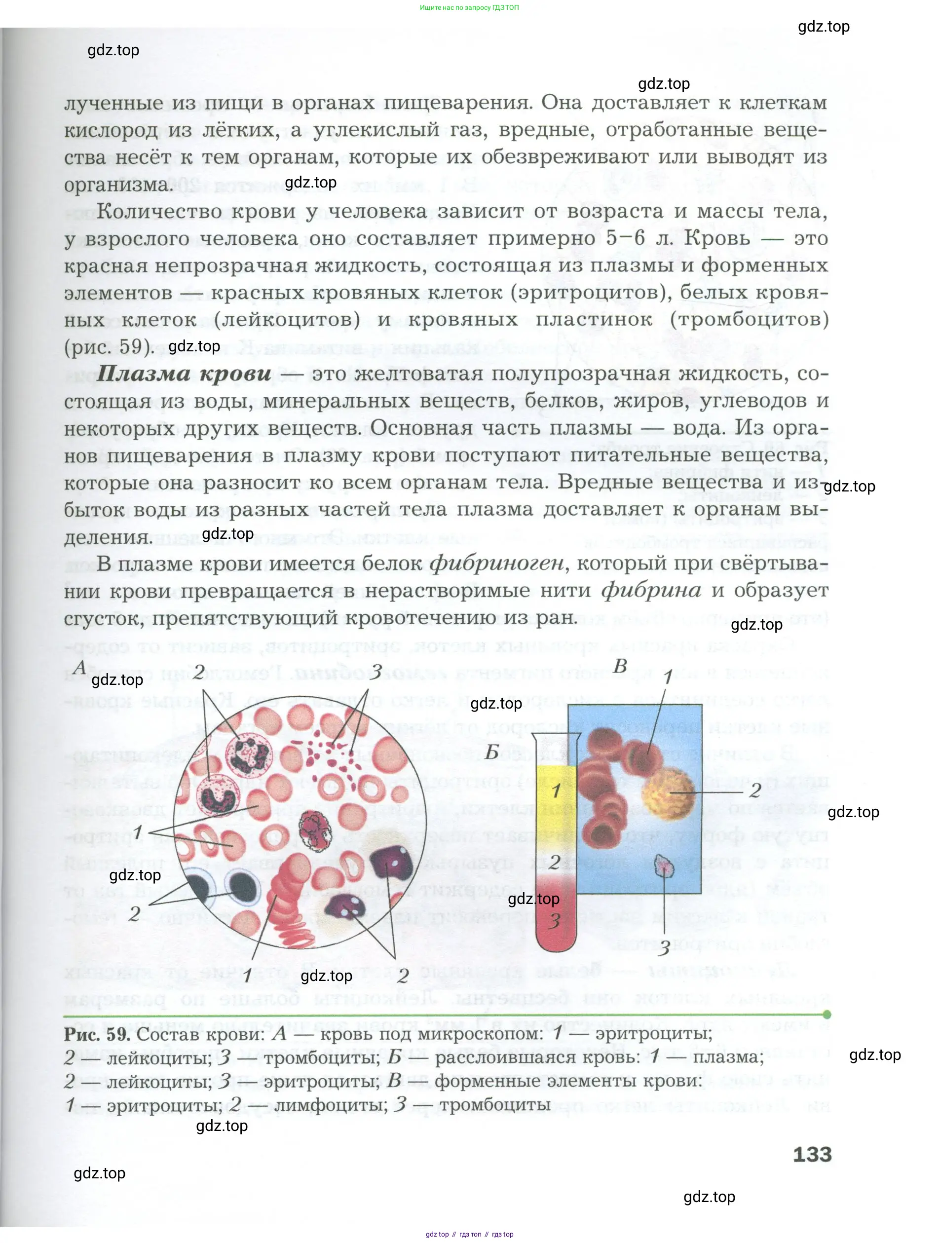 Биология, 9 класс Учебник, авторы: Драгомилов Александр Григорьевич, Маш Реми Давидович, издательство Просвещение, Москва, 2021, коричневого цвета, страница 133