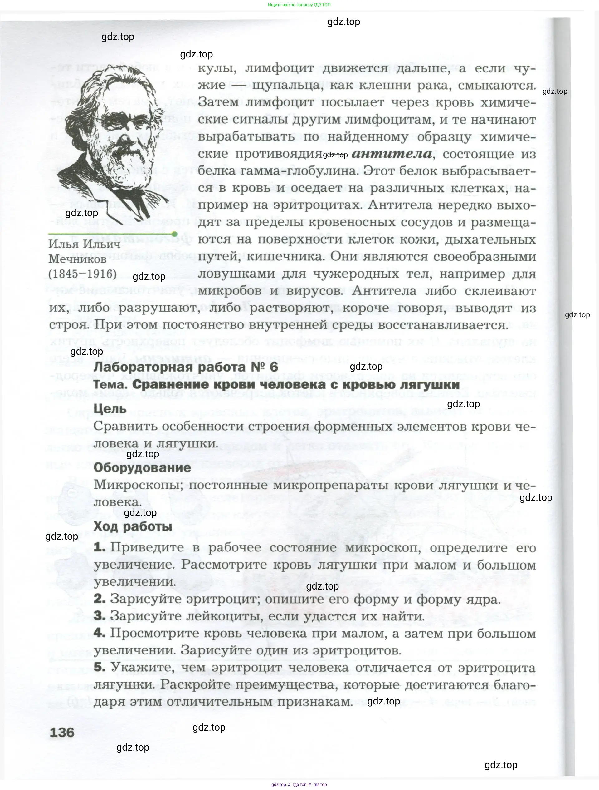 Биология, 9 класс Учебник, авторы: Драгомилов Александр Григорьевич, Маш Реми Давидович, издательство Просвещение, Москва, 2021, коричневого цвета, страница 136