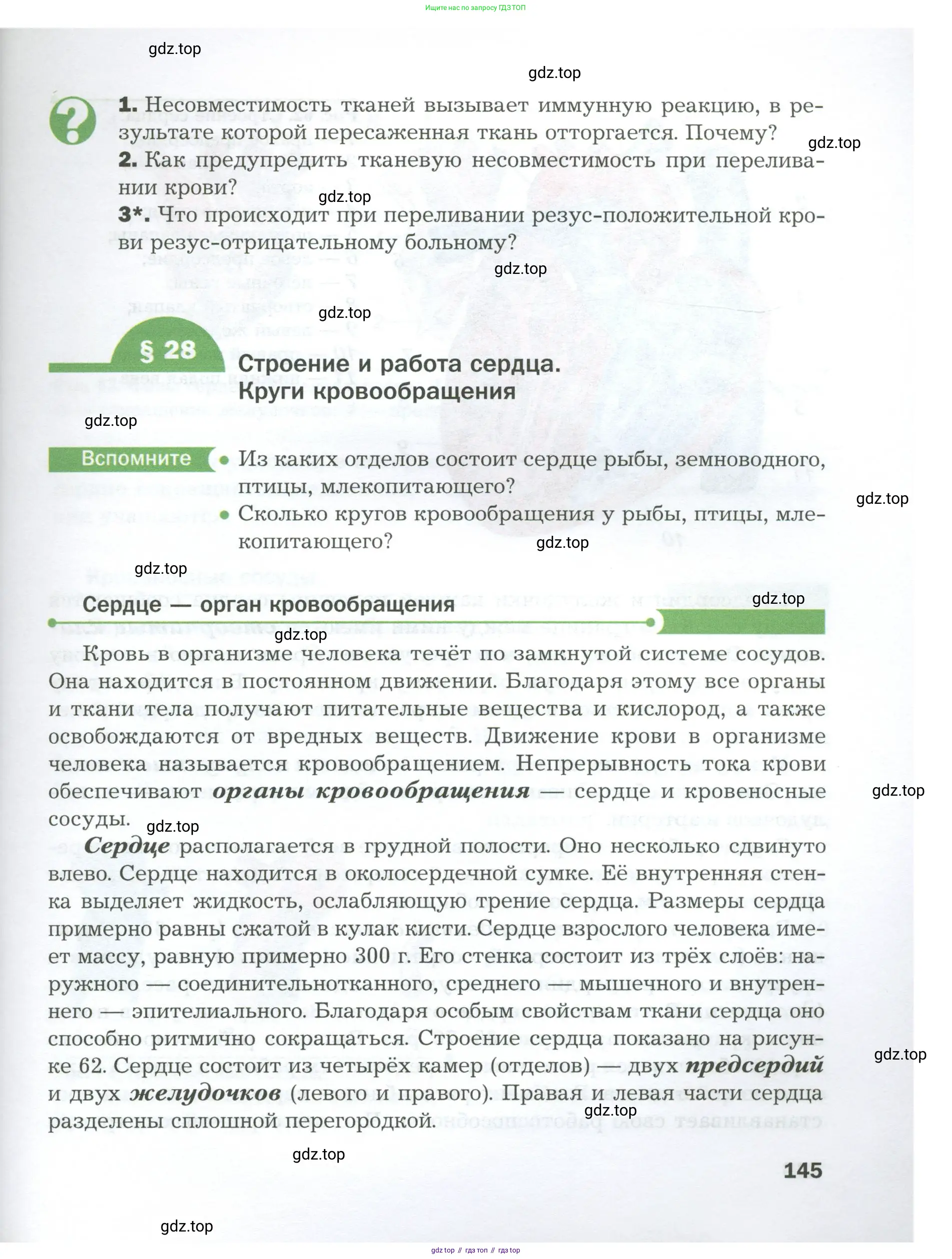 Биология, 9 класс Учебник, авторы: Драгомилов Александр Григорьевич, Маш Реми Давидович, издательство Просвещение, Москва, 2021, коричневого цвета, страница 145
