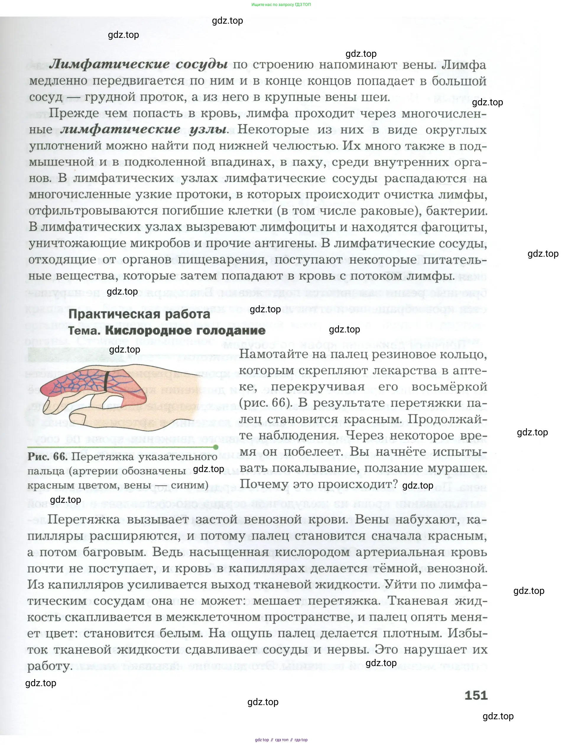 Биология, 9 класс Учебник, авторы: Драгомилов Александр Григорьевич, Маш Реми Давидович, издательство Просвещение, Москва, 2021, коричневого цвета, страница 151