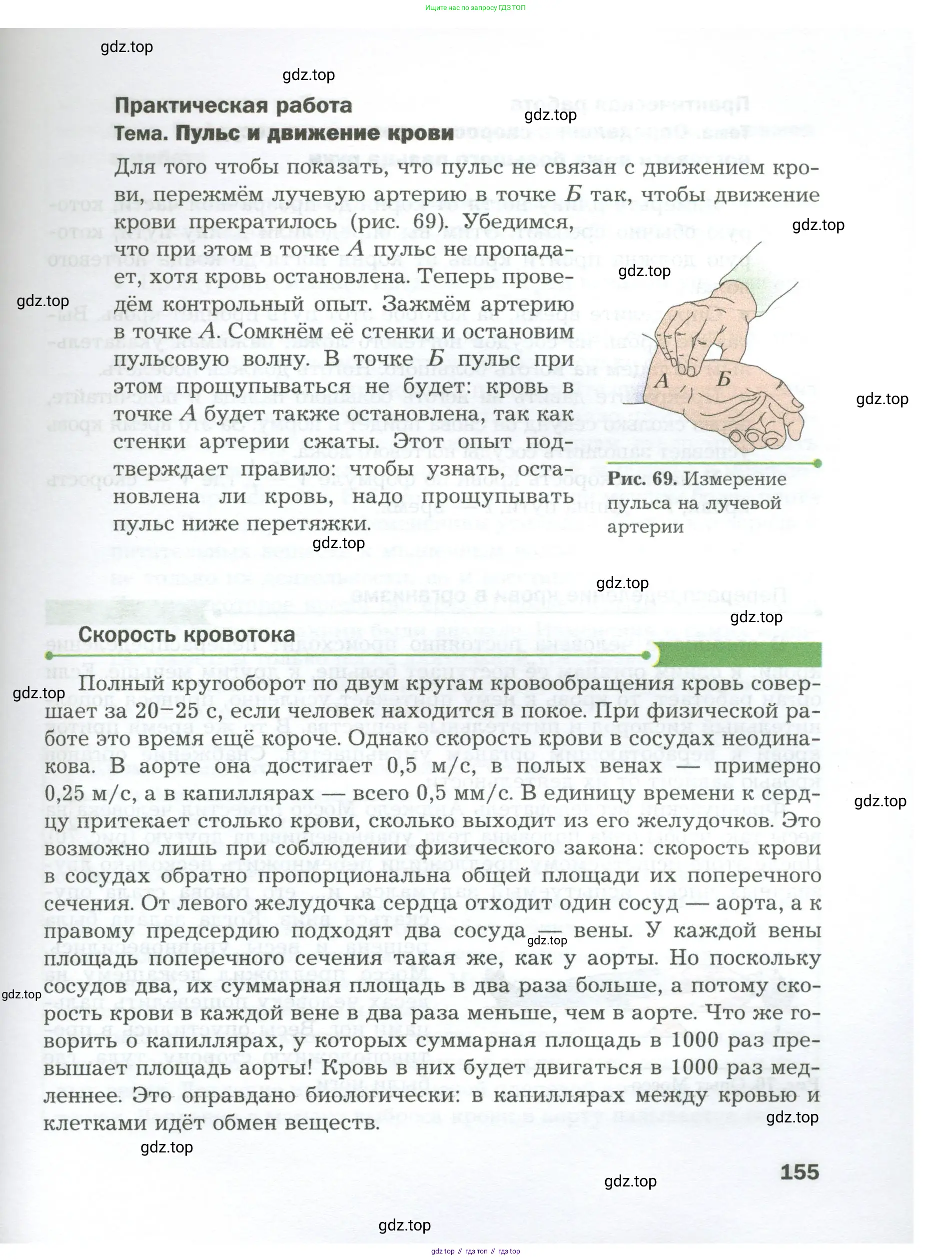 Биология, 9 класс Учебник, авторы: Драгомилов Александр Григорьевич, Маш Реми Давидович, издательство Просвещение, Москва, 2021, коричневого цвета, страница 155