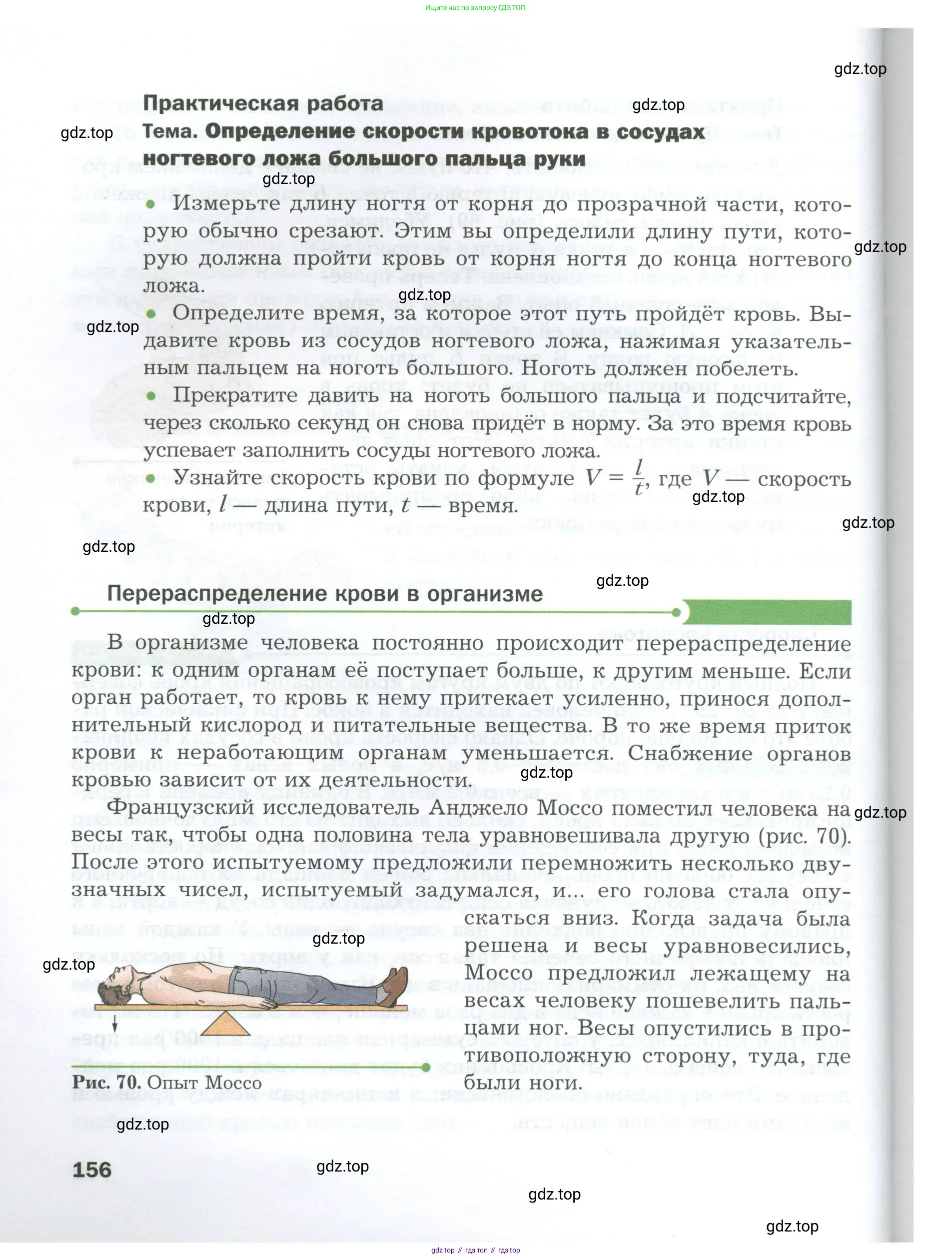 Биология, 9 класс Учебник, авторы: Драгомилов Александр Григорьевич, Маш Реми Давидович, издательство Просвещение, Москва, 2021, коричневого цвета, страница 156