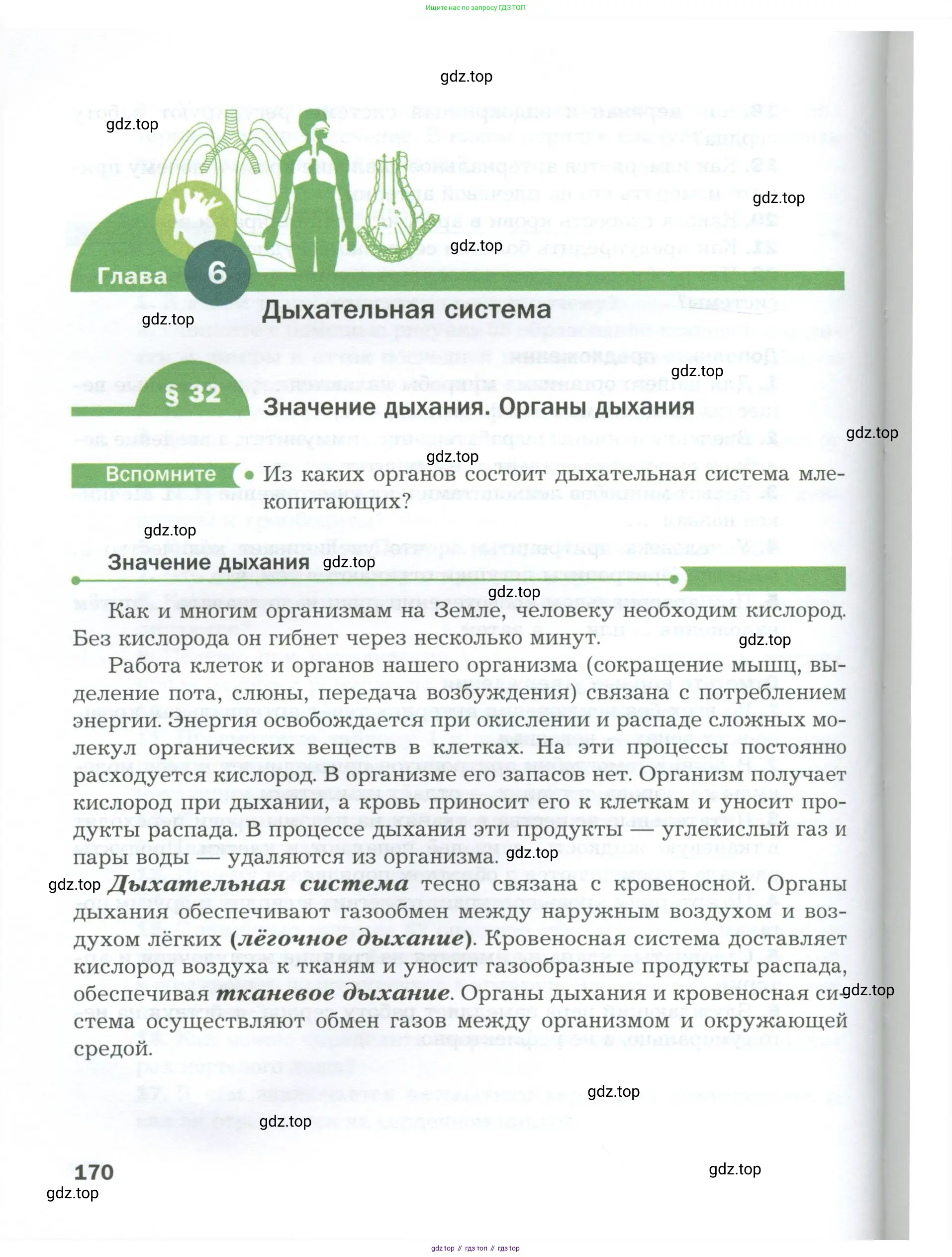 Биология, 9 класс Учебник, авторы: Драгомилов Александр Григорьевич, Маш Реми Давидович, издательство Просвещение, Москва, 2021, коричневого цвета, страница 170