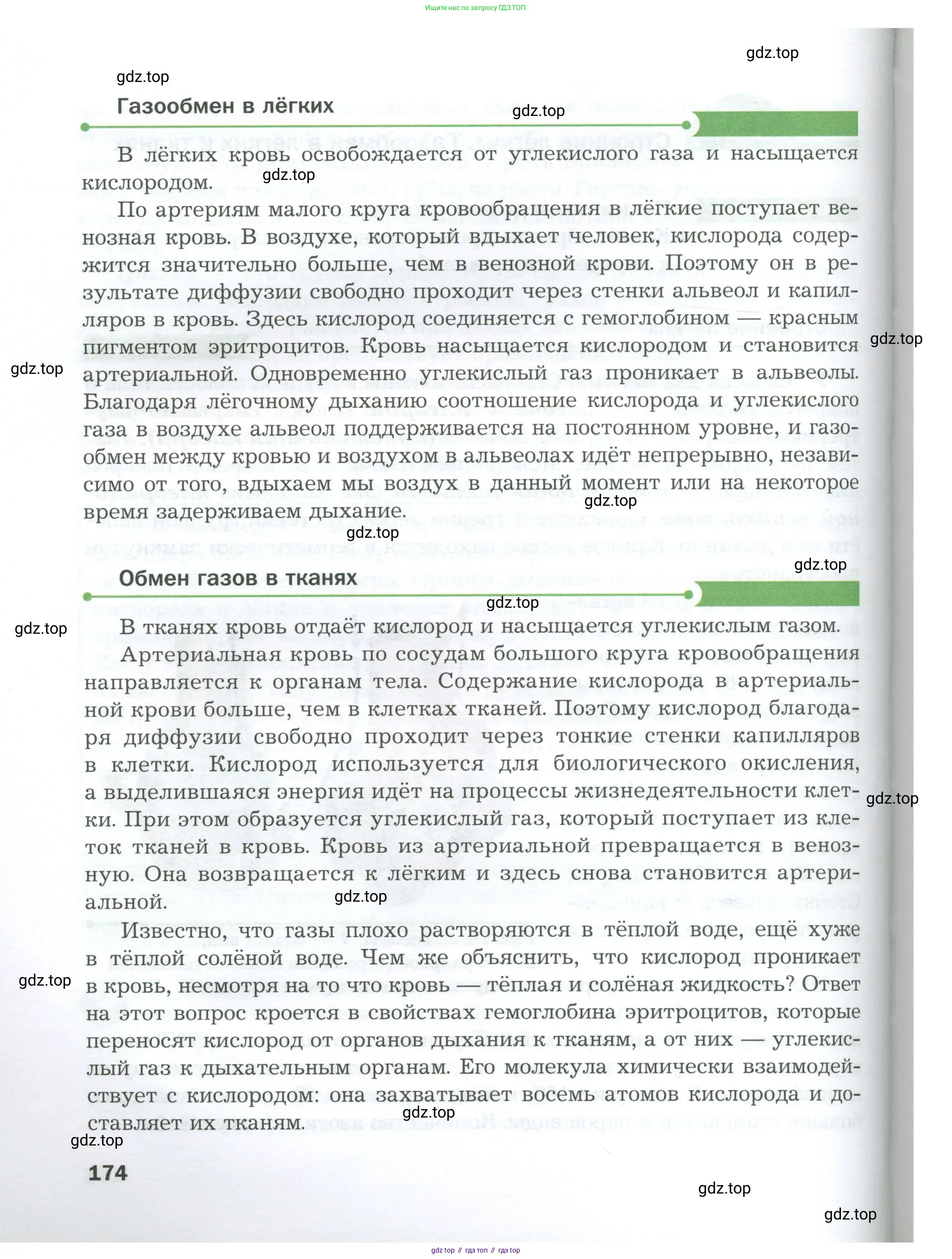 Биология, 9 класс Учебник, авторы: Драгомилов Александр Григорьевич, Маш Реми Давидович, издательство Просвещение, Москва, 2021, коричневого цвета, страница 174
