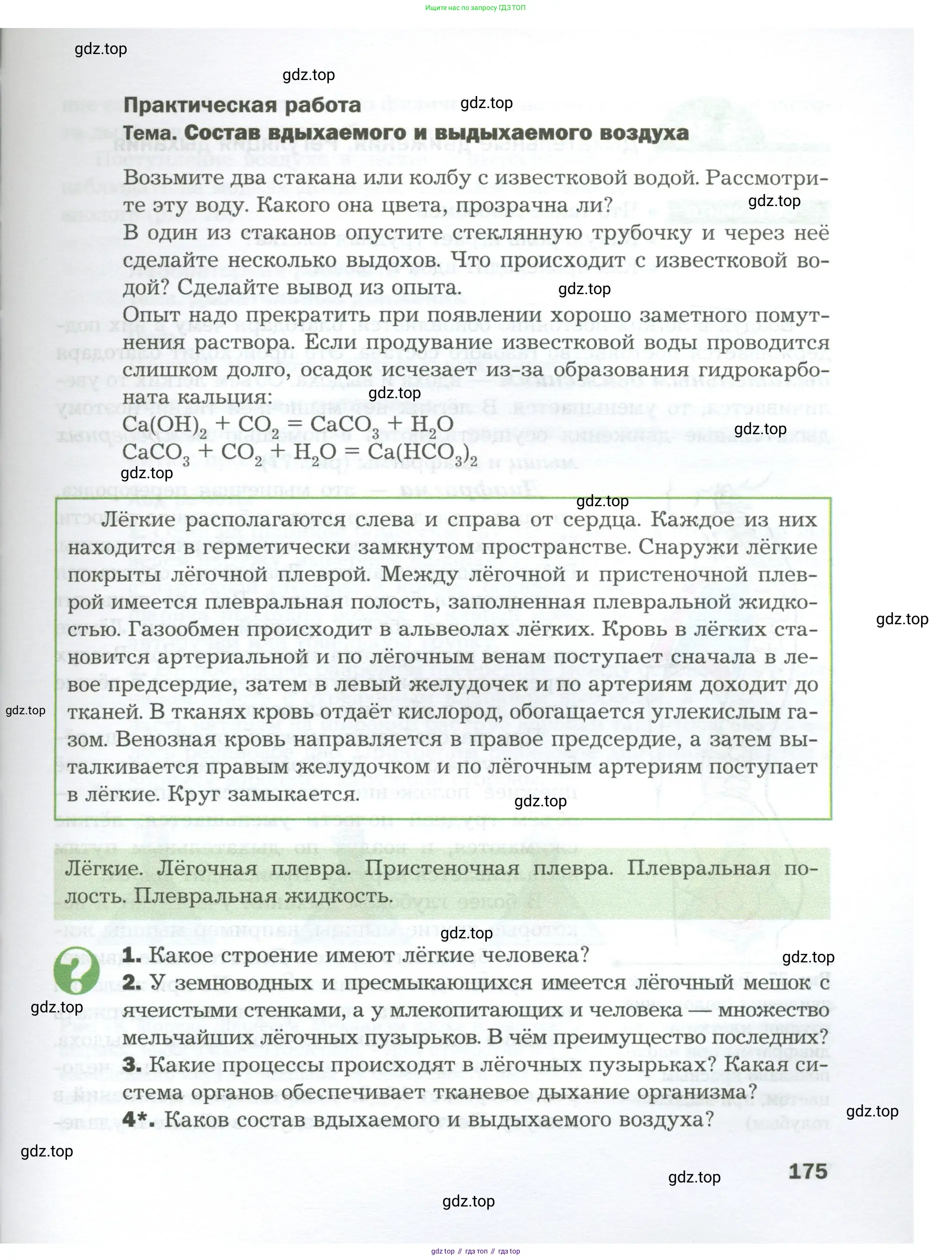 Биология, 9 класс Учебник, авторы: Драгомилов Александр Григорьевич, Маш Реми Давидович, издательство Просвещение, Москва, 2021, коричневого цвета, страница 175
