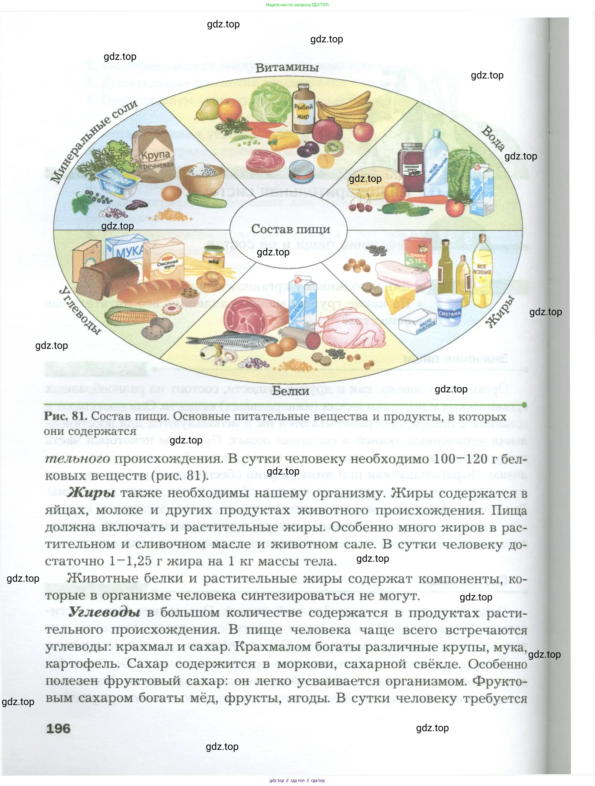 Биология, 9 класс Учебник, авторы: Драгомилов Александр Григорьевич, Маш Реми Давидович, издательство Просвещение, Москва, 2021, коричневого цвета, страница 196