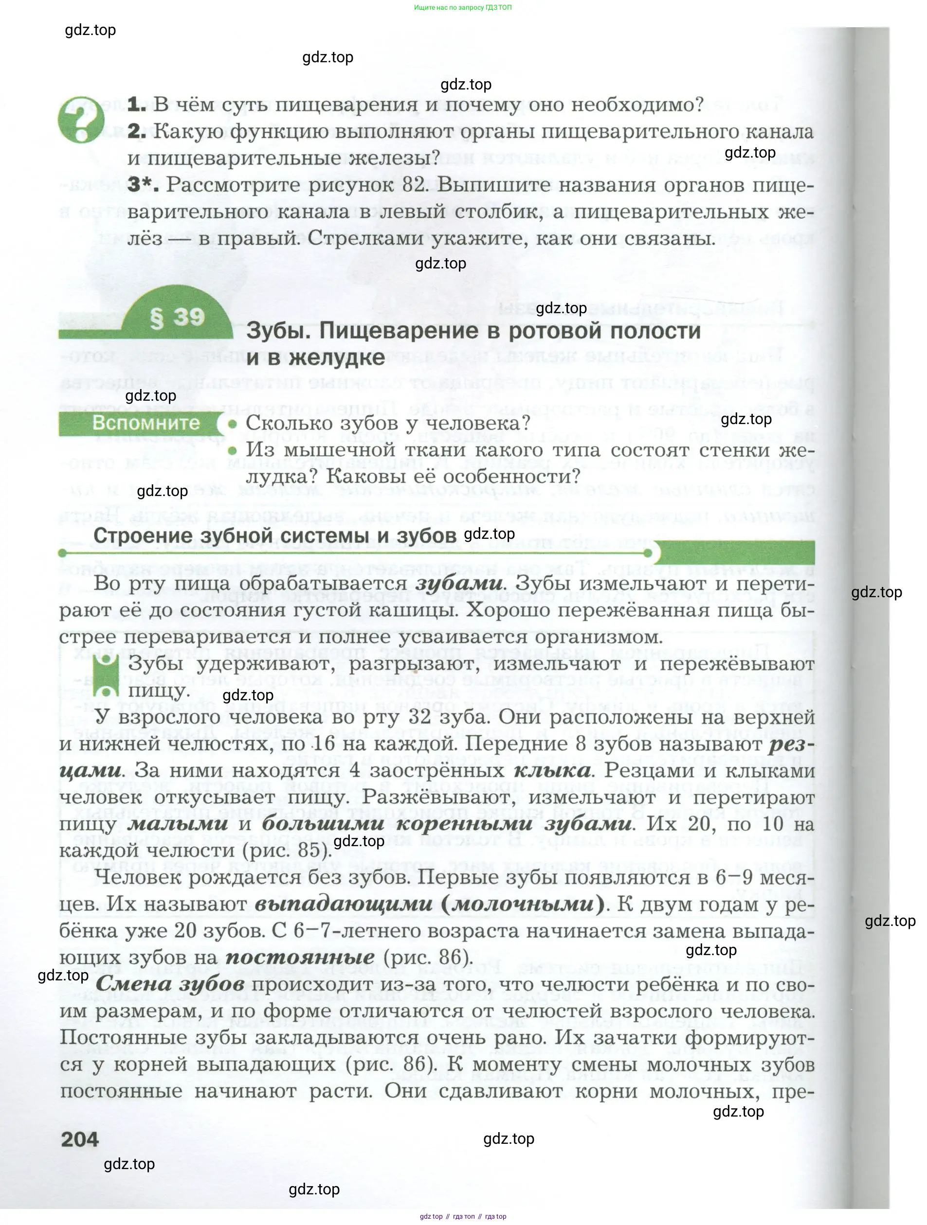 Биология, 9 класс Учебник, авторы: Драгомилов Александр Григорьевич, Маш Реми Давидович, издательство Просвещение, Москва, 2021, коричневого цвета, страница 204