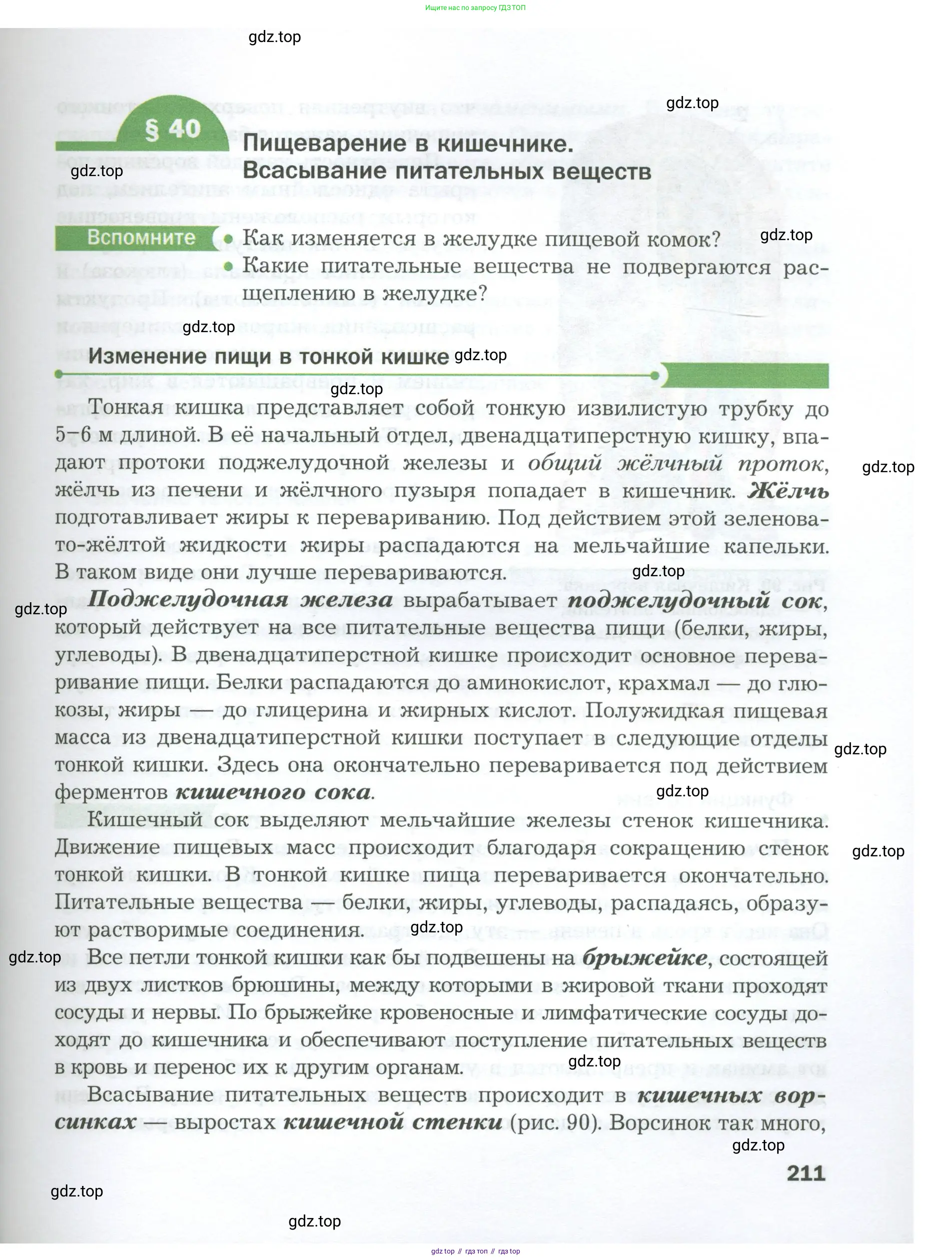 Биология, 9 класс Учебник, авторы: Драгомилов Александр Григорьевич, Маш Реми Давидович, издательство Просвещение, Москва, 2021, коричневого цвета, страница 211