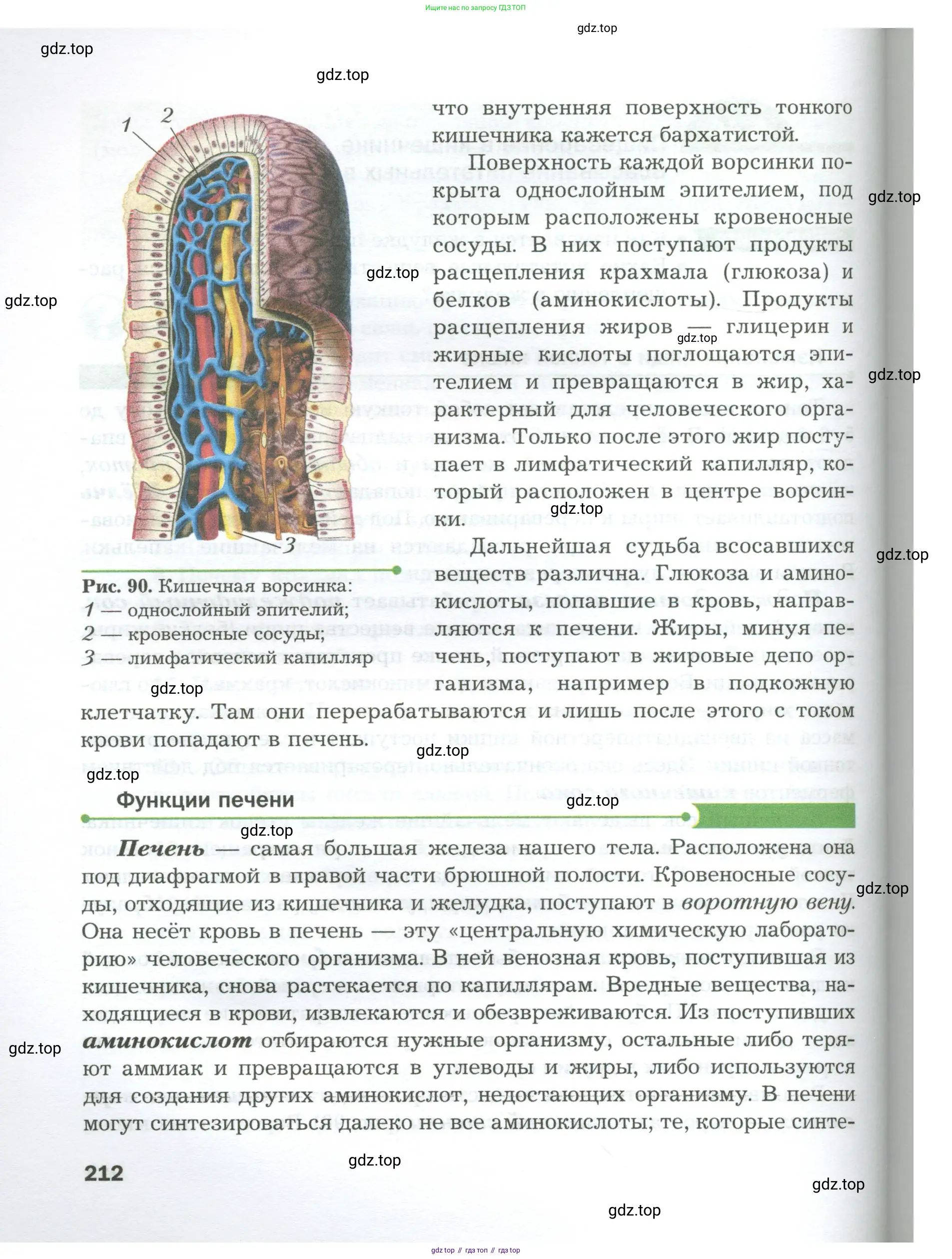 Биология, 9 класс Учебник, авторы: Драгомилов Александр Григорьевич, Маш Реми Давидович, издательство Просвещение, Москва, 2021, коричневого цвета, страница 212
