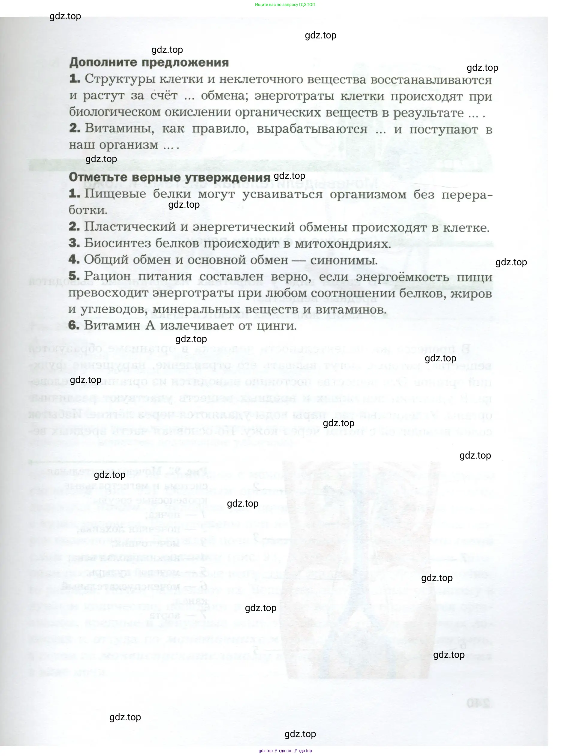 Биология, 9 класс Учебник, авторы: Драгомилов Александр Григорьевич, Маш Реми Давидович, издательство Просвещение, Москва, 2021, коричневого цвета, страница 239