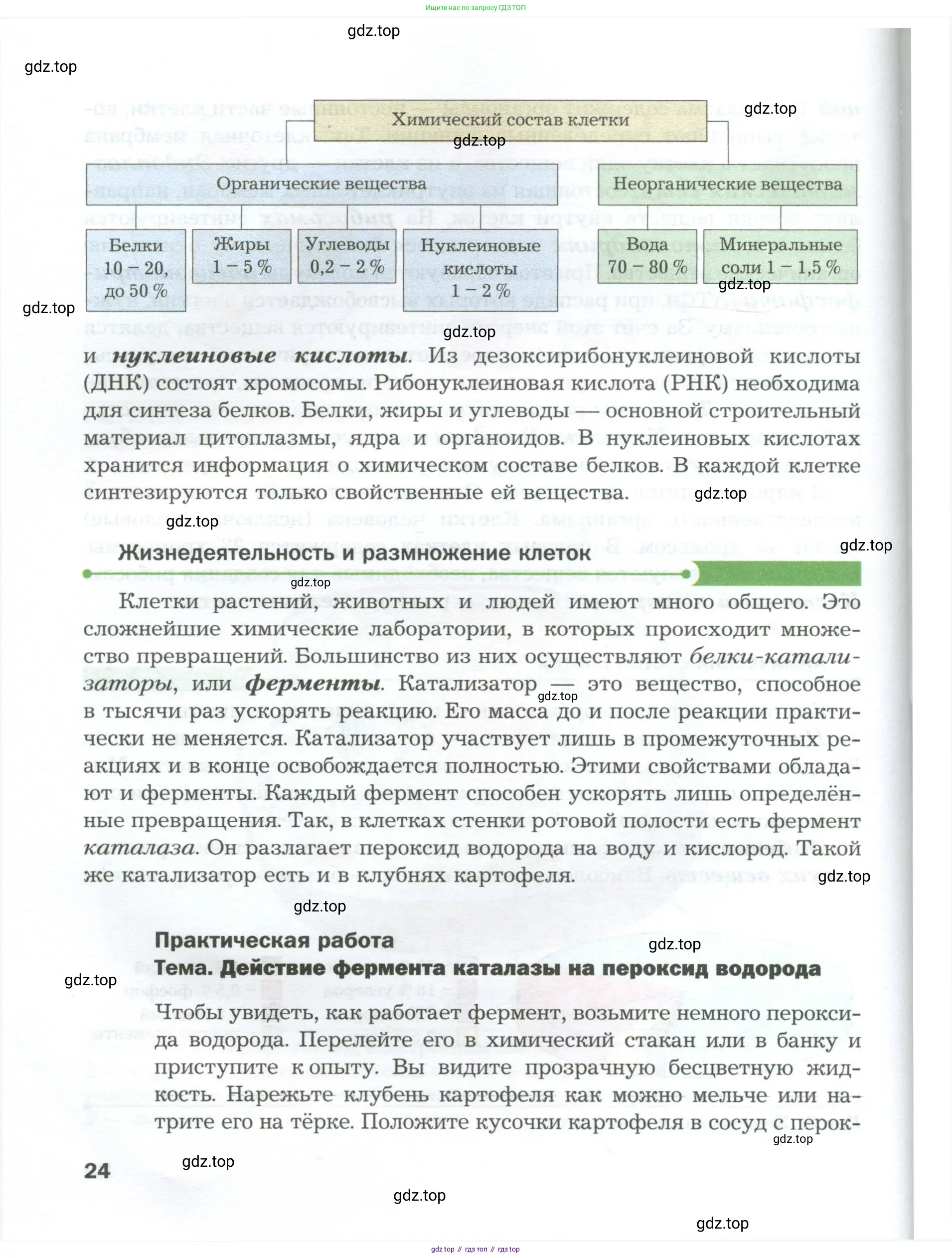 Биология, 9 класс Учебник, авторы: Драгомилов Александр Григорьевич, Маш Реми Давидович, издательство Просвещение, Москва, 2021, коричневого цвета, страница 24