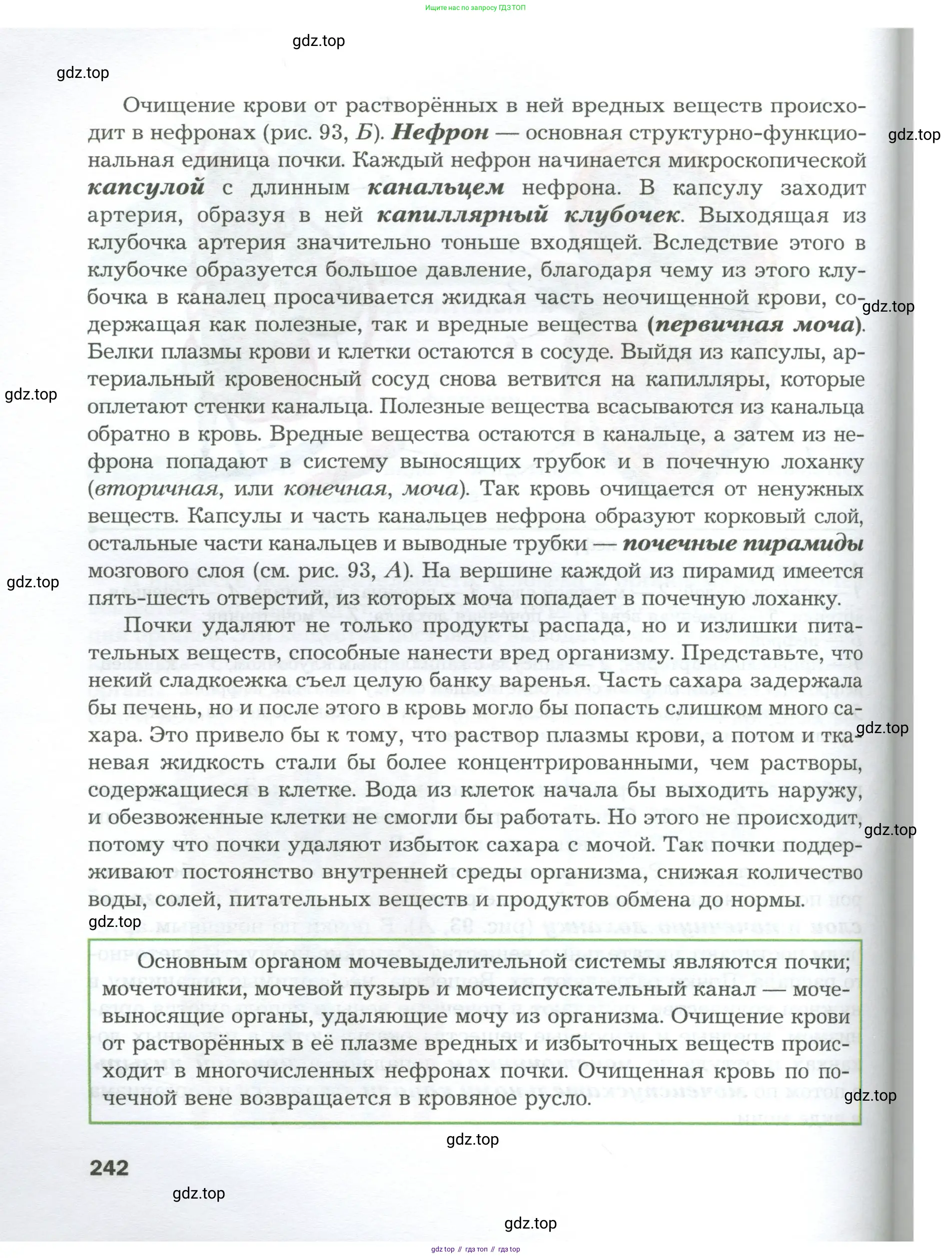 Биология, 9 класс Учебник, авторы: Драгомилов Александр Григорьевич, Маш Реми Давидович, издательство Просвещение, Москва, 2021, коричневого цвета, страница 242