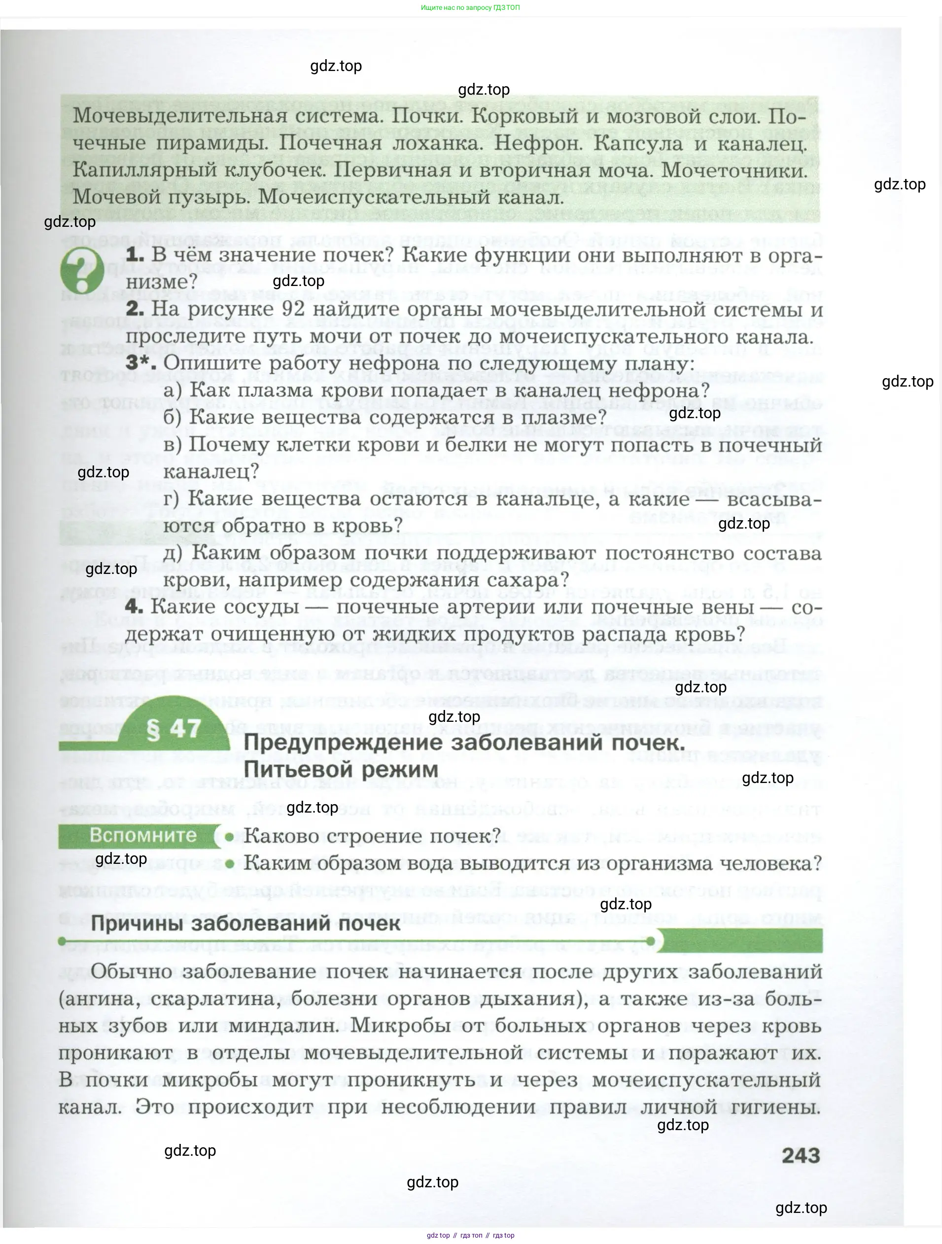 Биология, 9 класс Учебник, авторы: Драгомилов Александр Григорьевич, Маш Реми Давидович, издательство Просвещение, Москва, 2021, коричневого цвета, страница 243