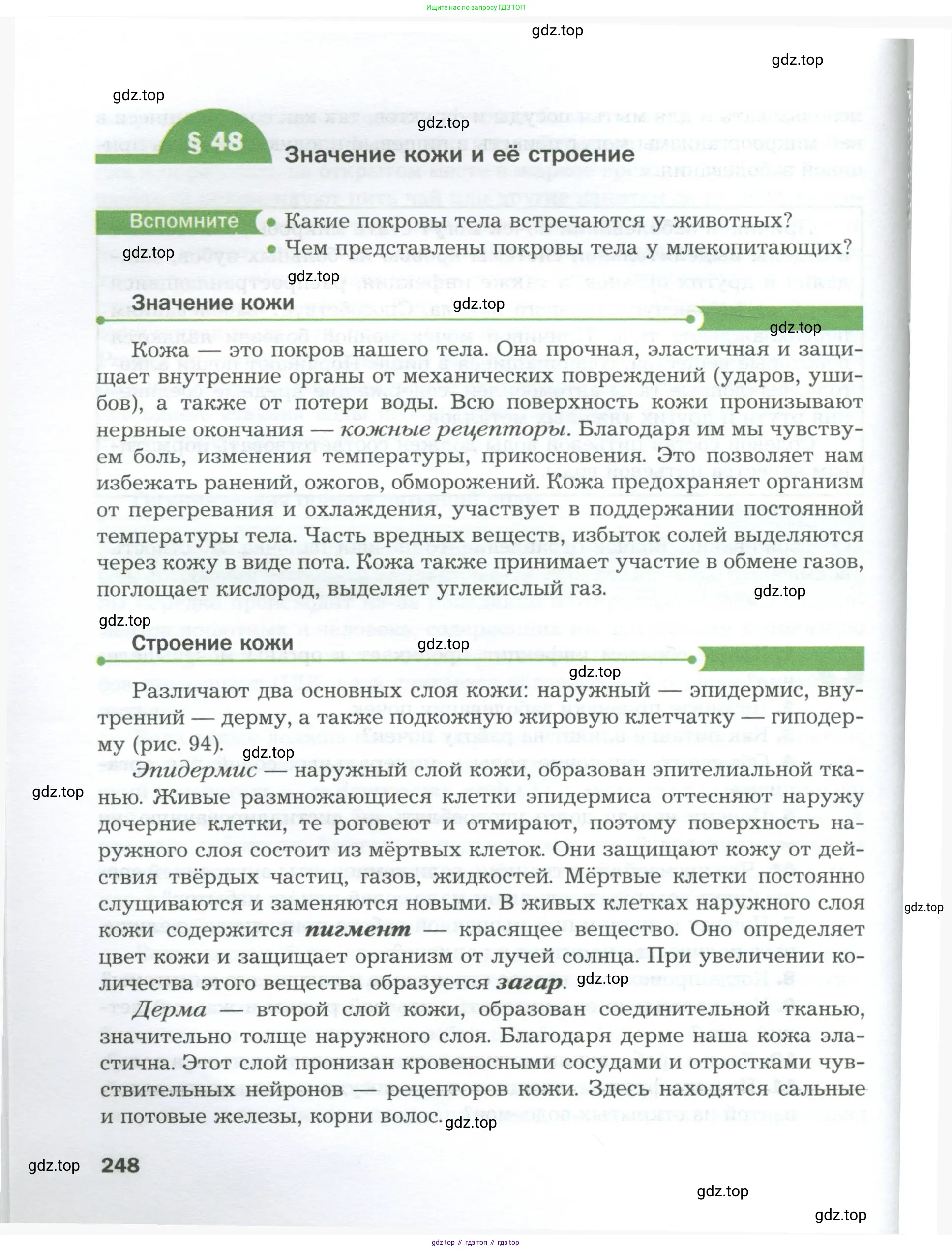 Биология, 9 класс Учебник, авторы: Драгомилов Александр Григорьевич, Маш Реми Давидович, издательство Просвещение, Москва, 2021, коричневого цвета, страница 248