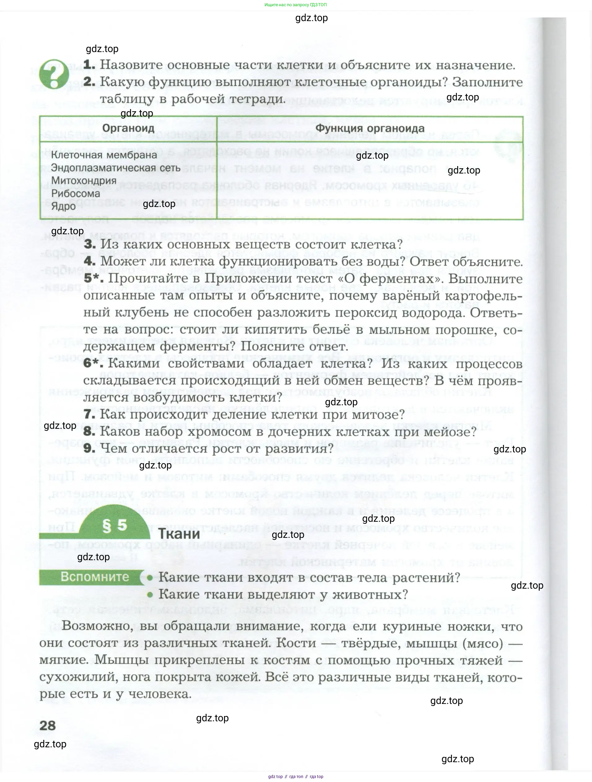 Биология, 9 класс Учебник, авторы: Драгомилов Александр Григорьевич, Маш Реми Давидович, издательство Просвещение, Москва, 2021, коричневого цвета, страница 28