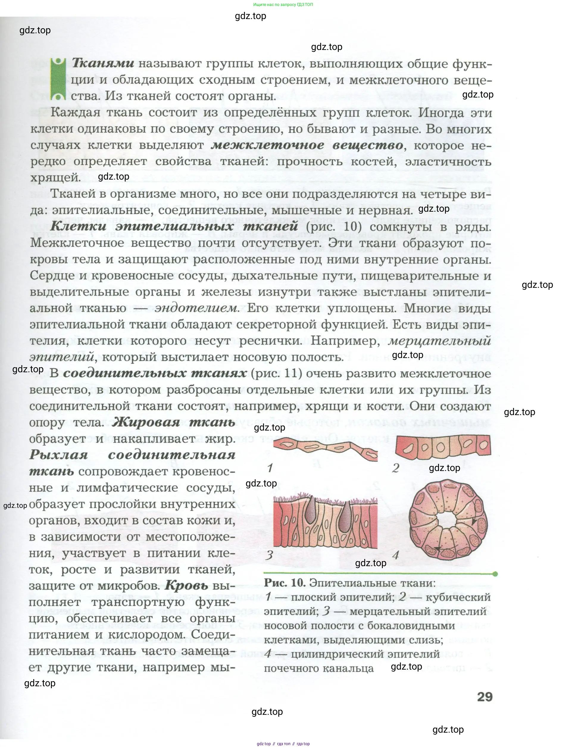 Биология, 9 класс Учебник, авторы: Драгомилов Александр Григорьевич, Маш Реми Давидович, издательство Просвещение, Москва, 2021, коричневого цвета, страница 29