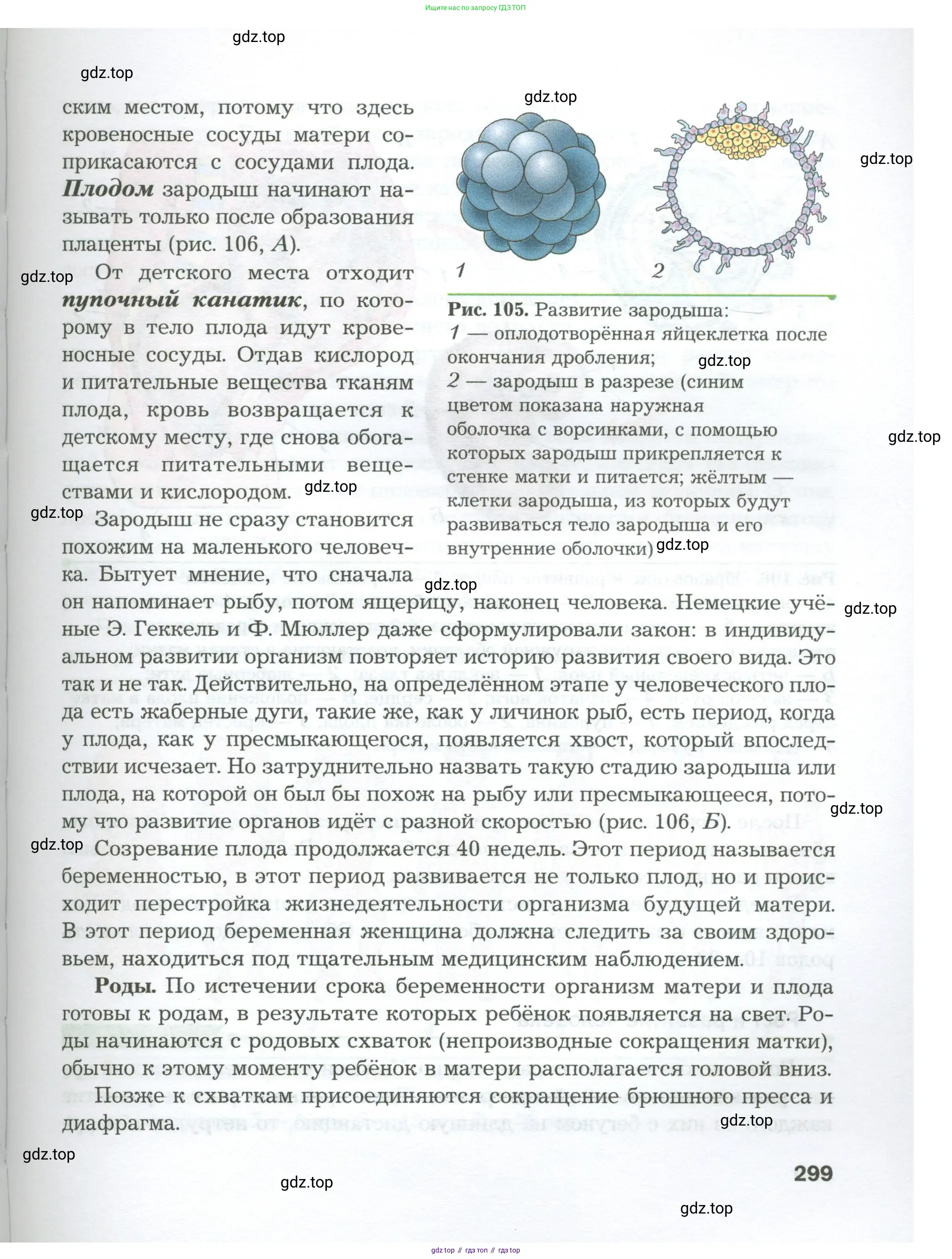 Биология, 9 класс Учебник, авторы: Драгомилов Александр Григорьевич, Маш Реми Давидович, издательство Просвещение, Москва, 2021, коричневого цвета, страница 299
