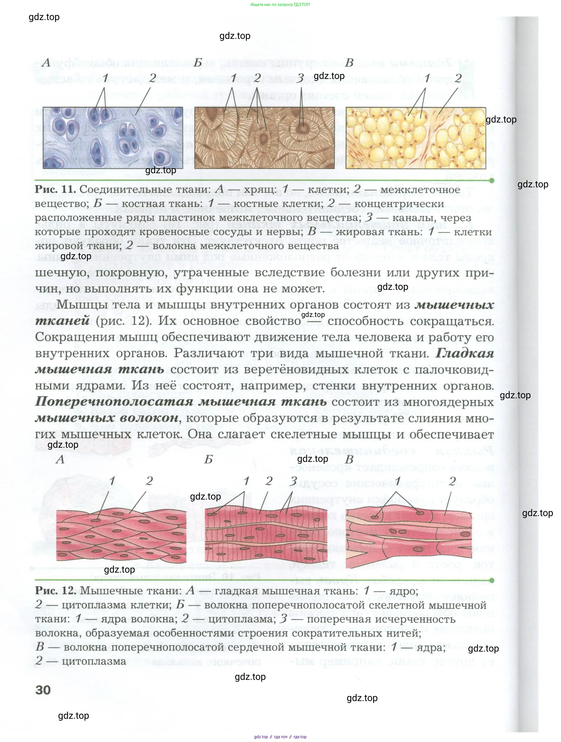 Биология, 9 класс Учебник, авторы: Драгомилов Александр Григорьевич, Маш Реми Давидович, издательство Просвещение, Москва, 2021, коричневого цвета, страница 30