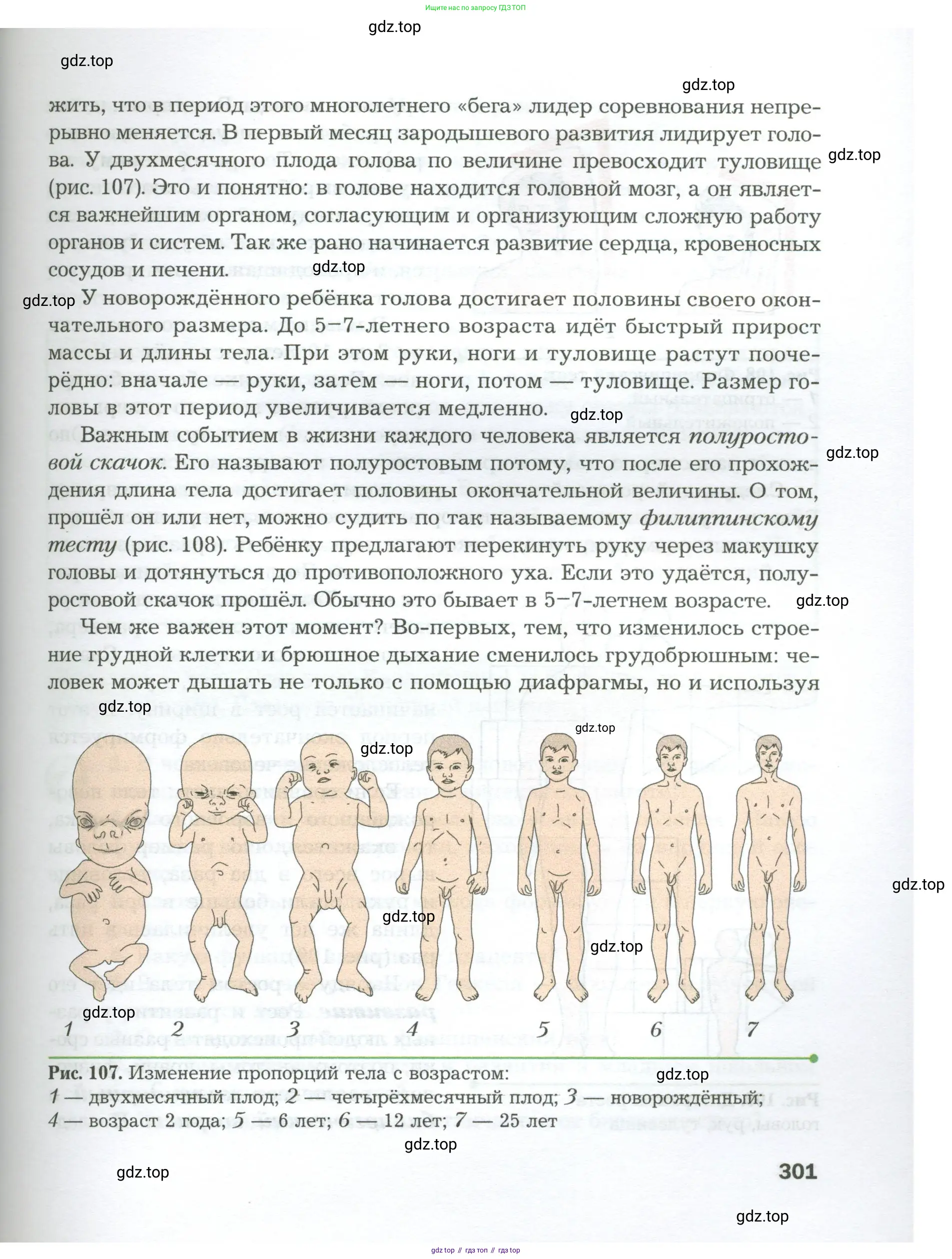 Биология, 9 класс Учебник, авторы: Драгомилов Александр Григорьевич, Маш Реми Давидович, издательство Просвещение, Москва, 2021, коричневого цвета, страница 301