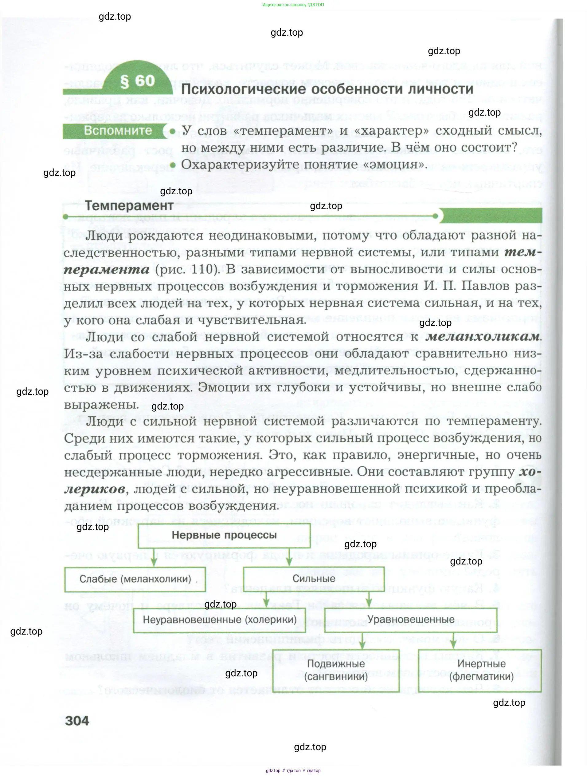 Биология, 9 класс Учебник, авторы: Драгомилов Александр Григорьевич, Маш Реми Давидович, издательство Просвещение, Москва, 2021, коричневого цвета, страница 304