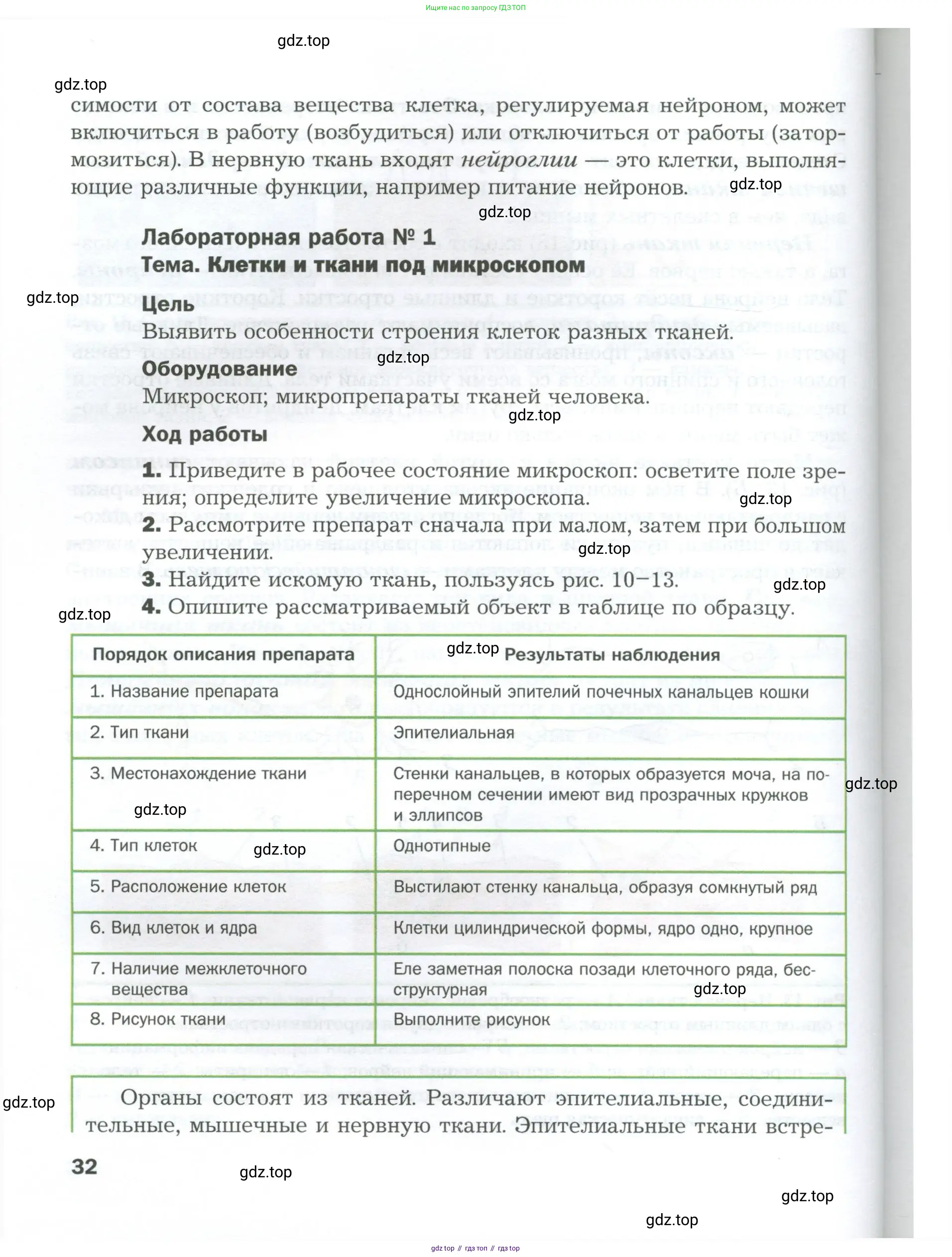 Биология, 9 класс Учебник, авторы: Драгомилов Александр Григорьевич, Маш Реми Давидович, издательство Просвещение, Москва, 2021, коричневого цвета, страница 32