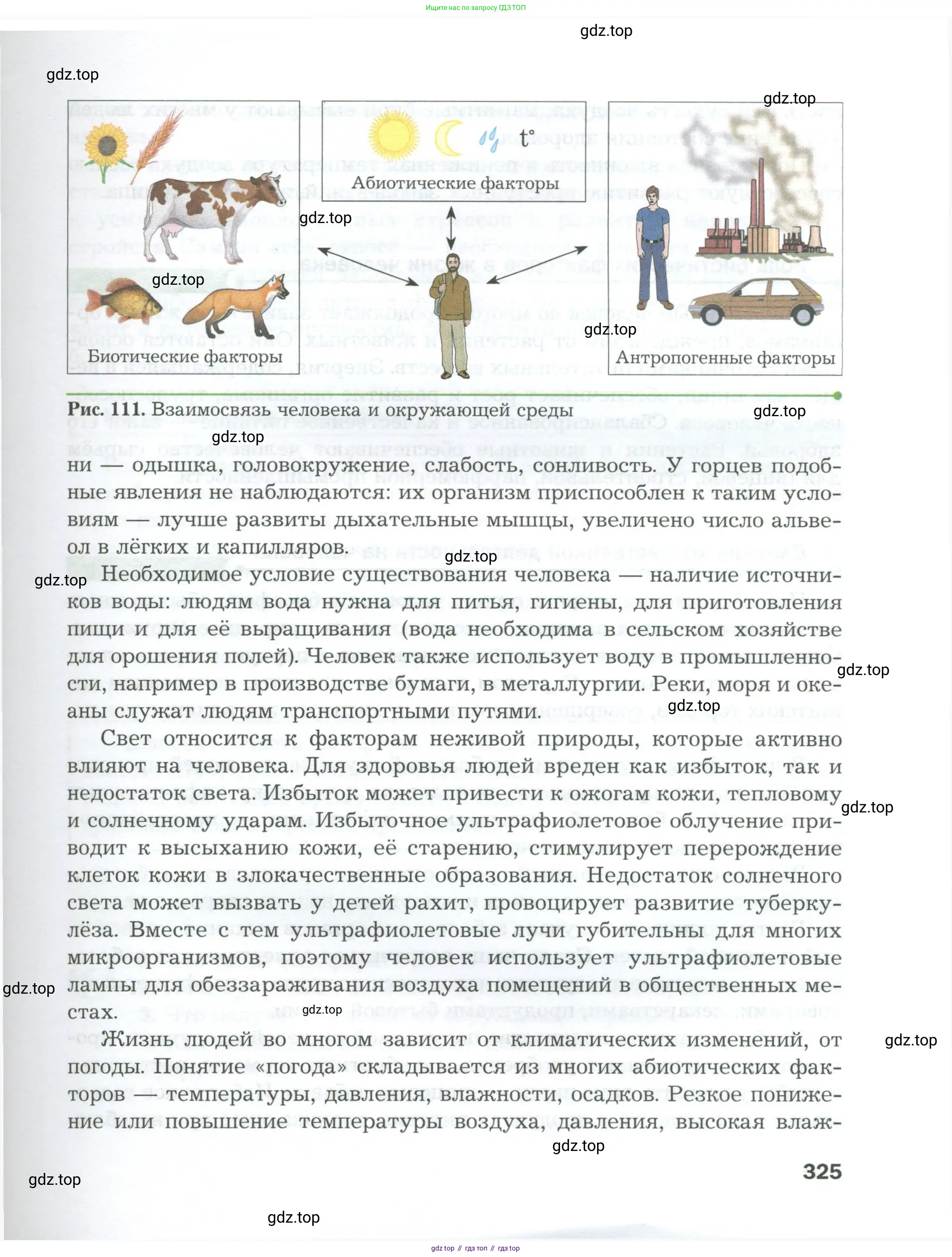 Биология, 9 класс Учебник, авторы: Драгомилов Александр Григорьевич, Маш Реми Давидович, издательство Просвещение, Москва, 2021, коричневого цвета, страница 325