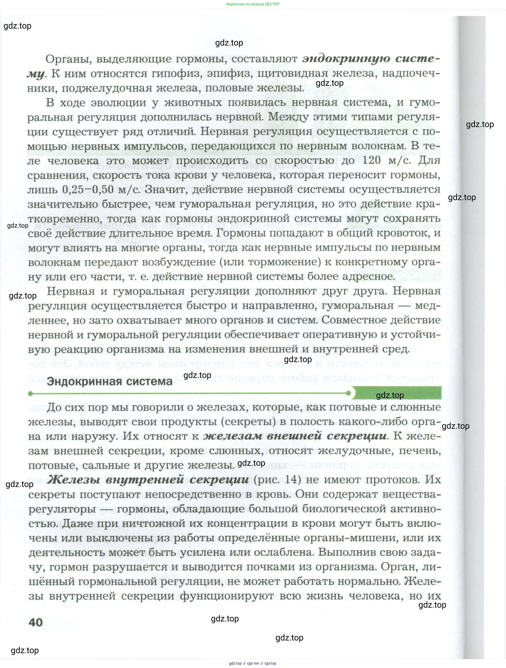 Биология, 9 класс Учебник, авторы: Драгомилов Александр Григорьевич, Маш Реми Давидович, издательство Просвещение, Москва, 2021, коричневого цвета, страница 40