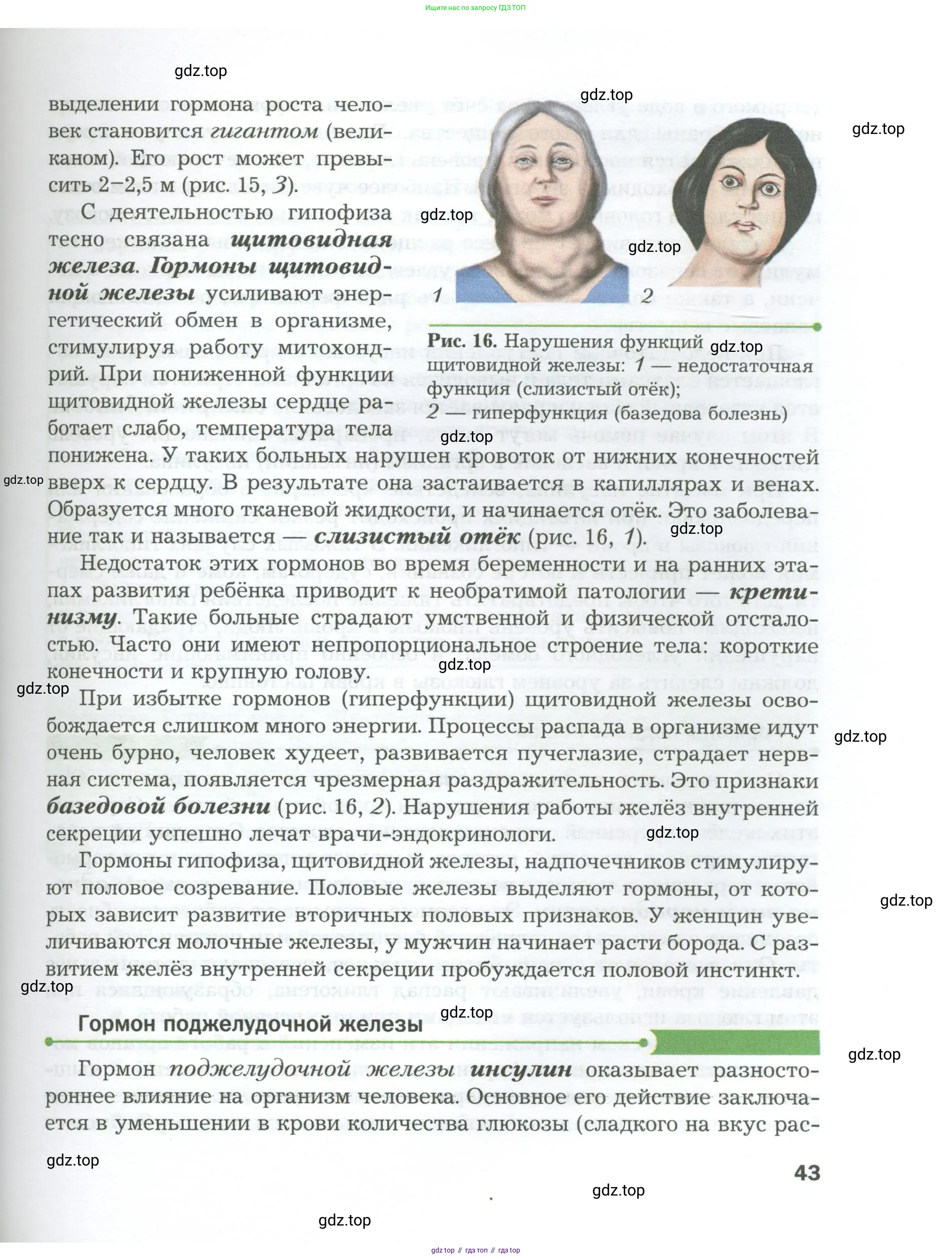 Биология, 9 класс Учебник, авторы: Драгомилов Александр Григорьевич, Маш Реми Давидович, издательство Просвещение, Москва, 2021, коричневого цвета, страница 43