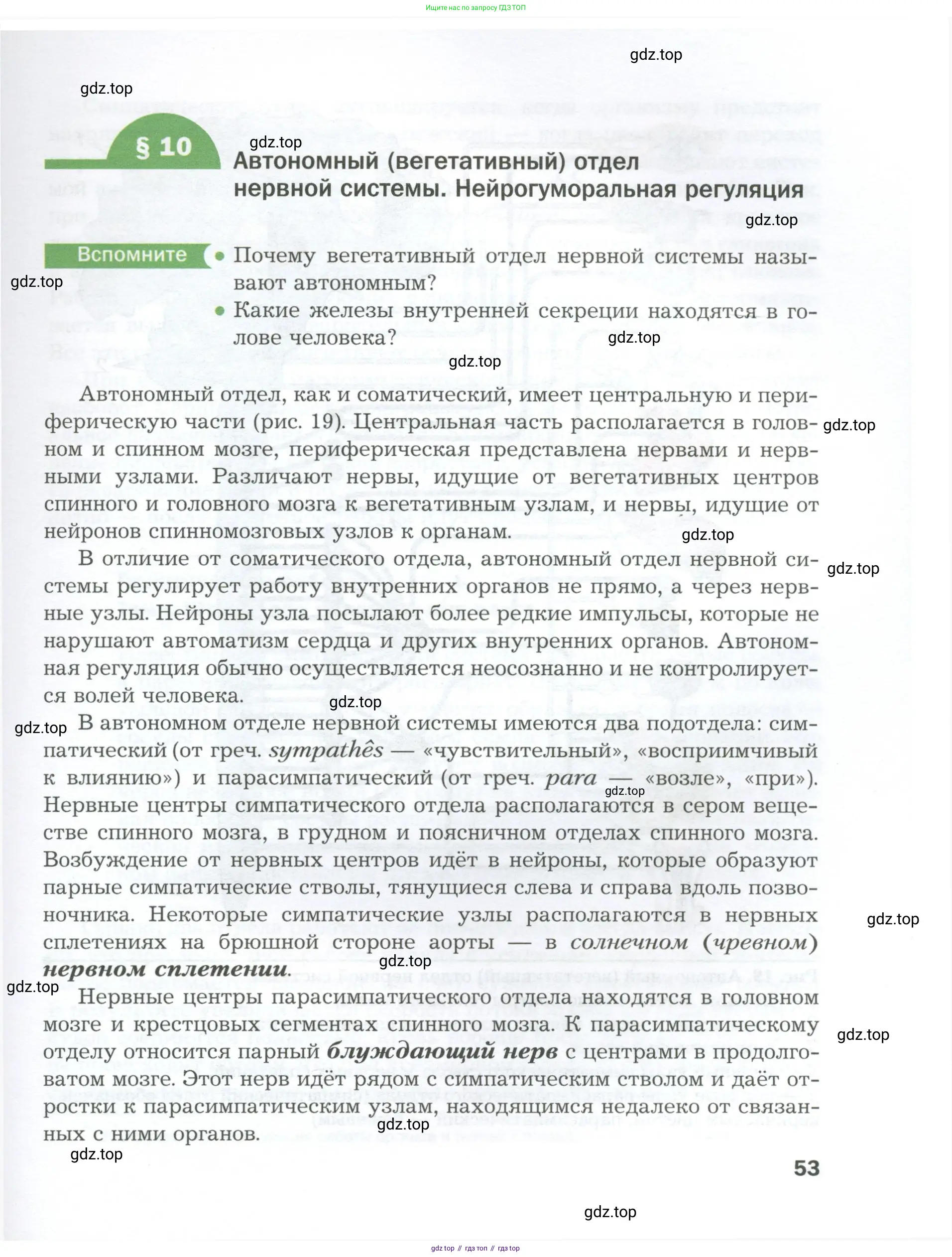 Биология, 9 класс Учебник, авторы: Драгомилов Александр Григорьевич, Маш Реми Давидович, издательство Просвещение, Москва, 2021, коричневого цвета, страница 53