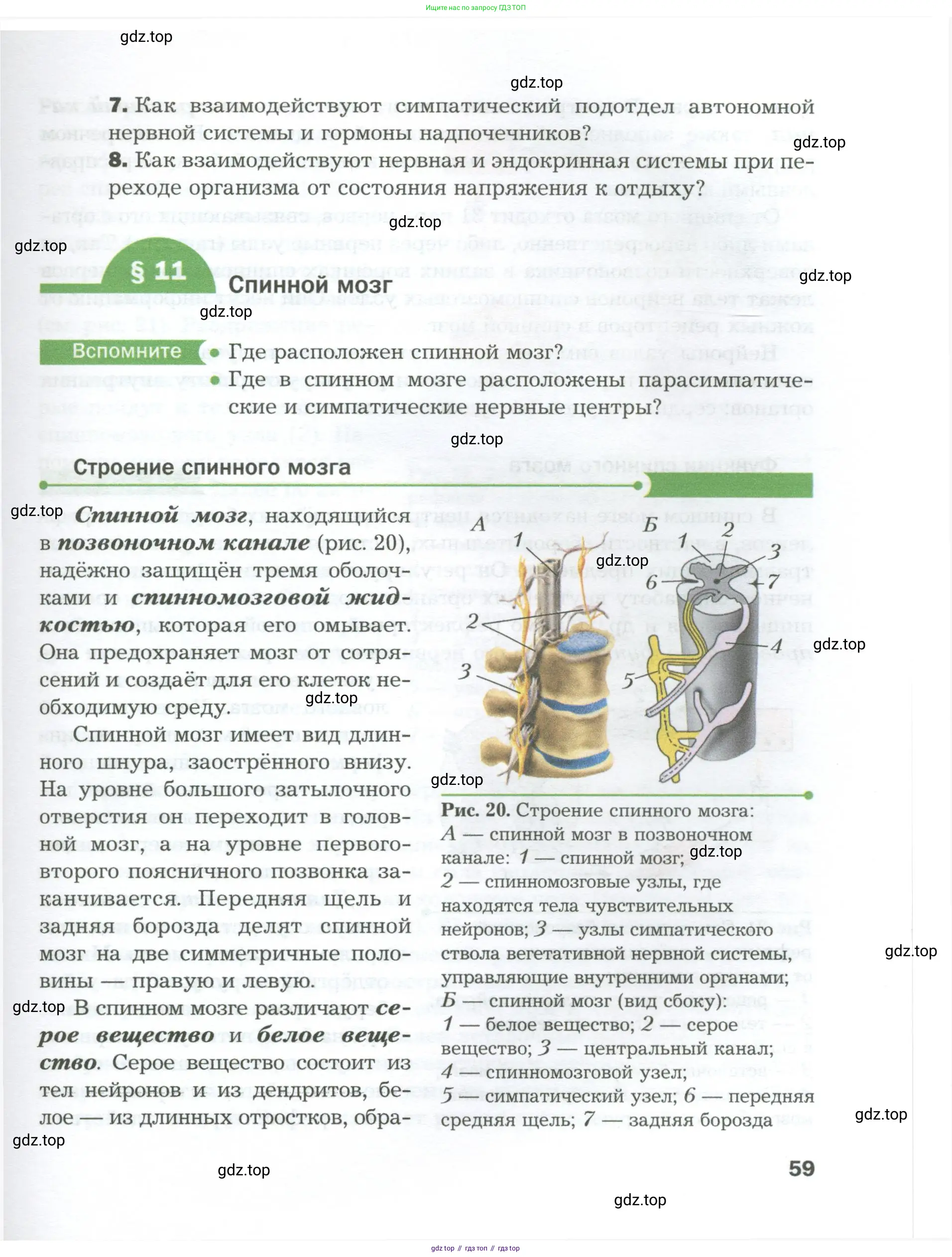 Биология, 9 класс Учебник, авторы: Драгомилов Александр Григорьевич, Маш Реми Давидович, издательство Просвещение, Москва, 2021, коричневого цвета, страница 59