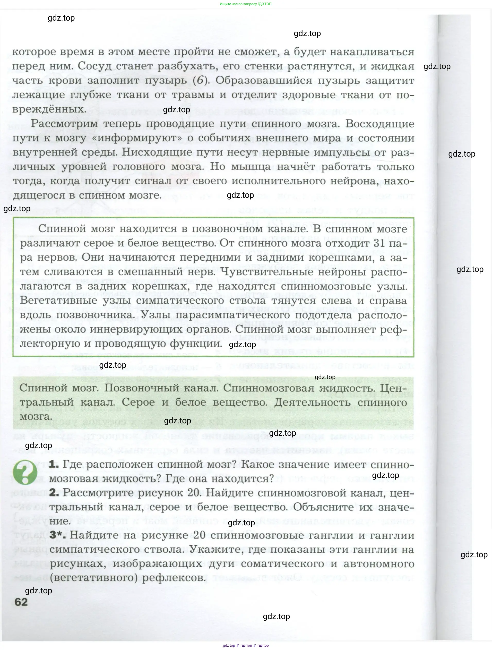 Биология, 9 класс Учебник, авторы: Драгомилов Александр Григорьевич, Маш Реми Давидович, издательство Просвещение, Москва, 2021, коричневого цвета, страница 62
