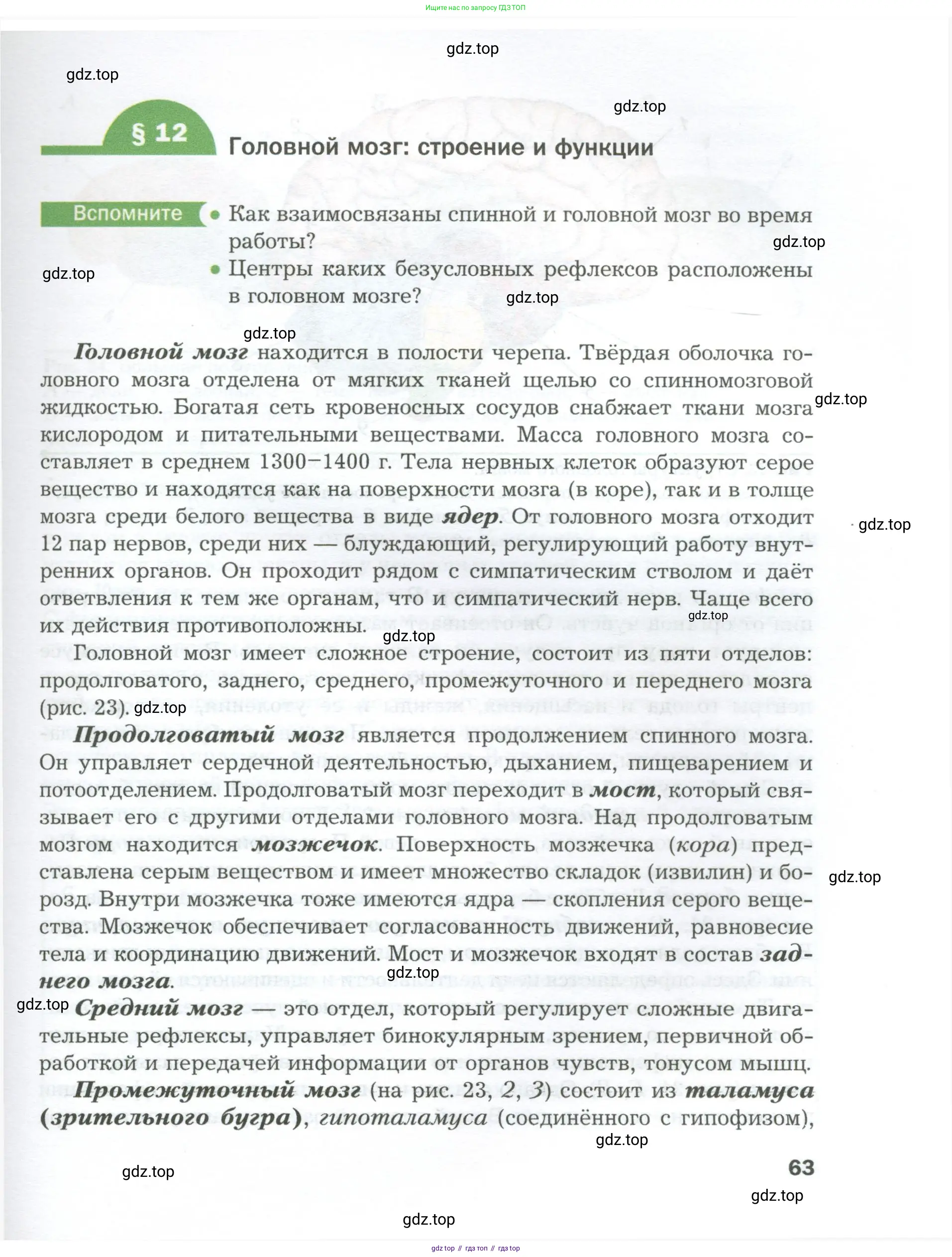 Биология, 9 класс Учебник, авторы: Драгомилов Александр Григорьевич, Маш Реми Давидович, издательство Просвещение, Москва, 2021, коричневого цвета, страница 63