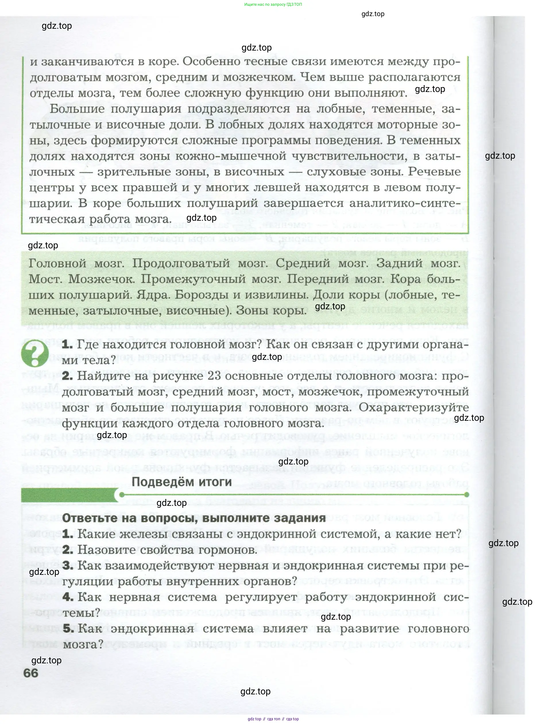 Биология, 9 класс Учебник, авторы: Драгомилов Александр Григорьевич, Маш Реми Давидович, издательство Просвещение, Москва, 2021, коричневого цвета, страница 66